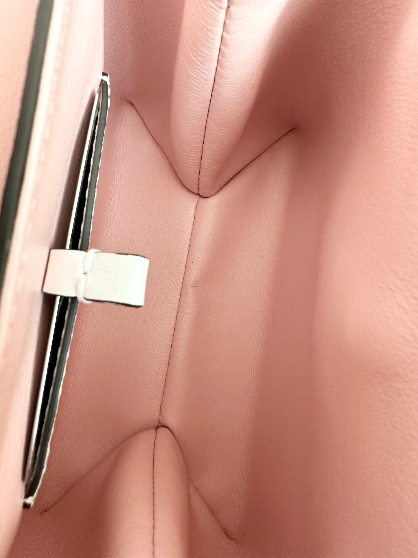 Louis Vuitton Rose des Vents Ostrich Mini Exotic Pearly White Sakura Pink