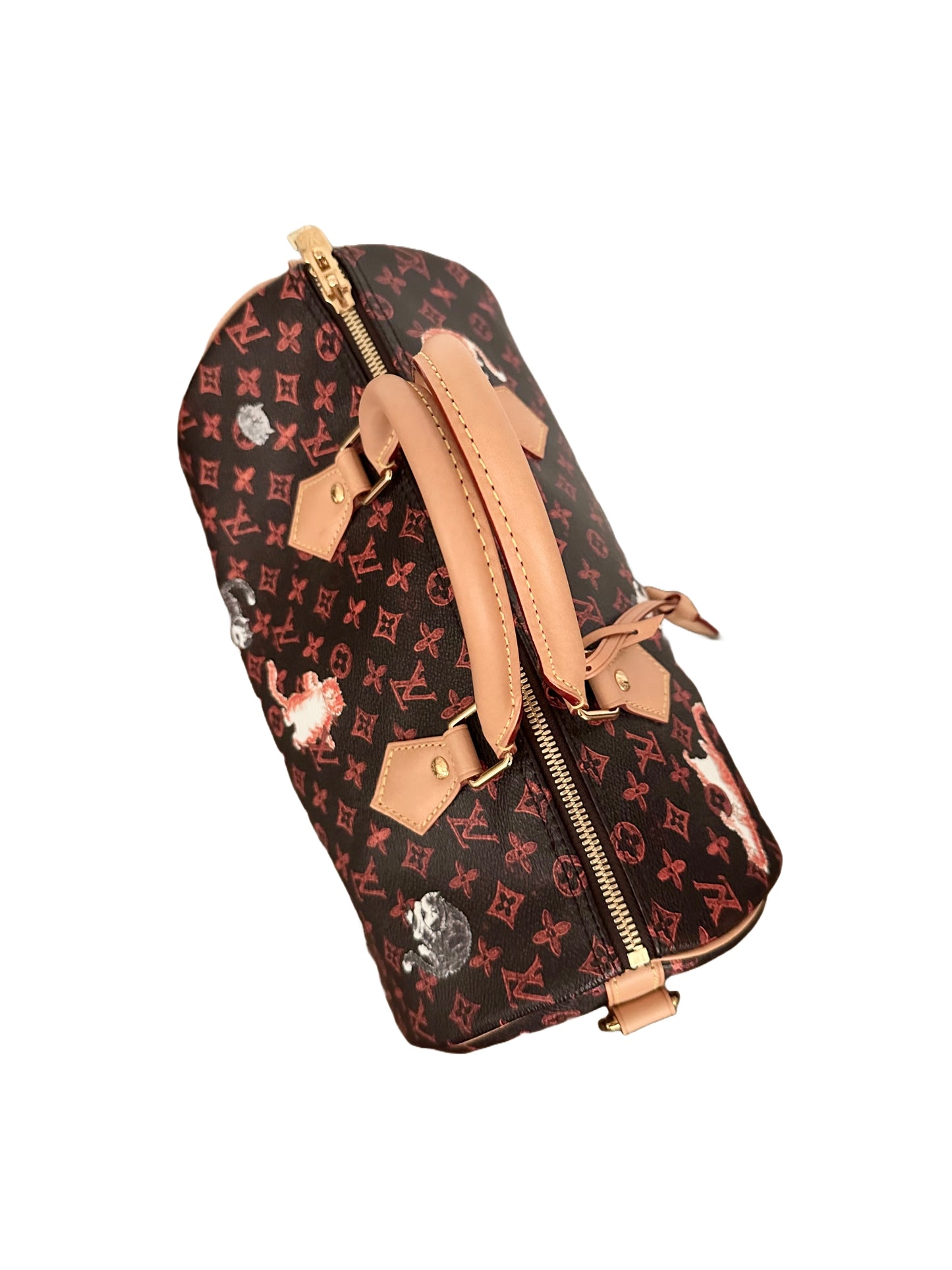 Louis Vuitton x Grace Coddington Catogram Speedy Bandouliere 30