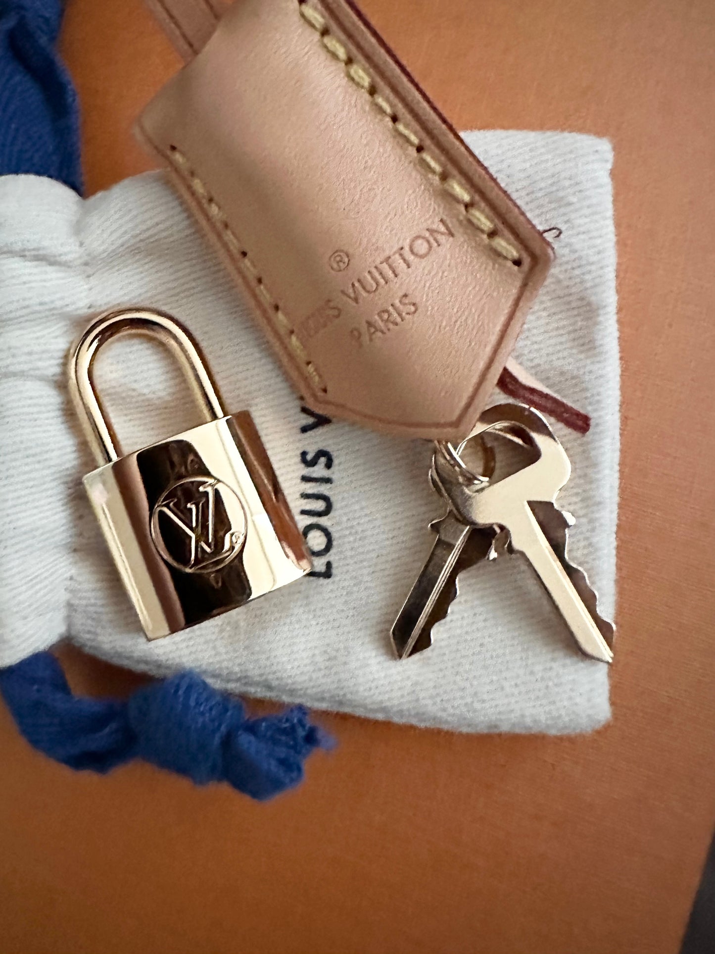 Louis Vuitton x Grace Coddington Catogram Speedy Bandouliere 30