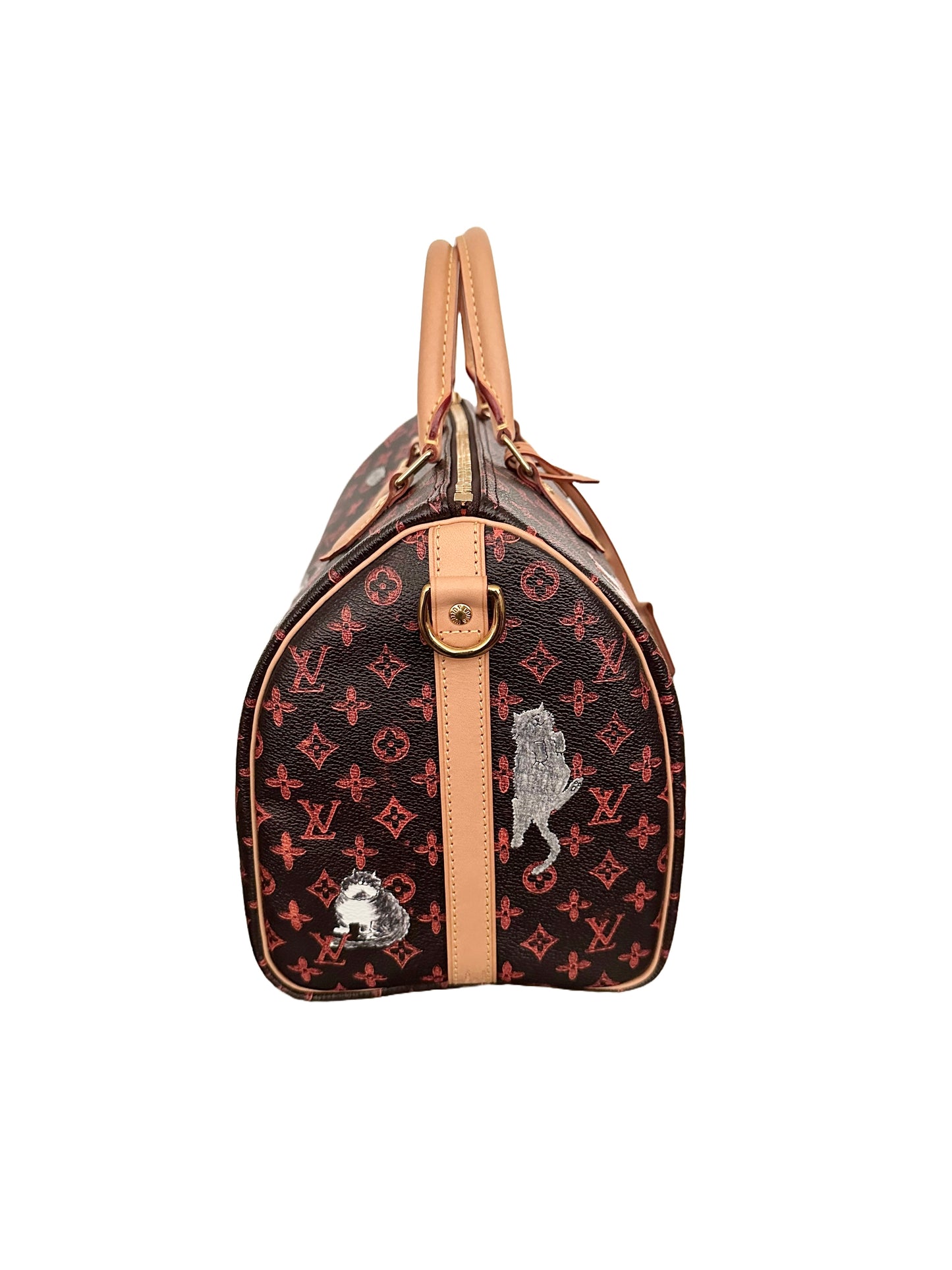Louis Vuitton x Grace Coddington Catogram Speedy Bandouliere 30