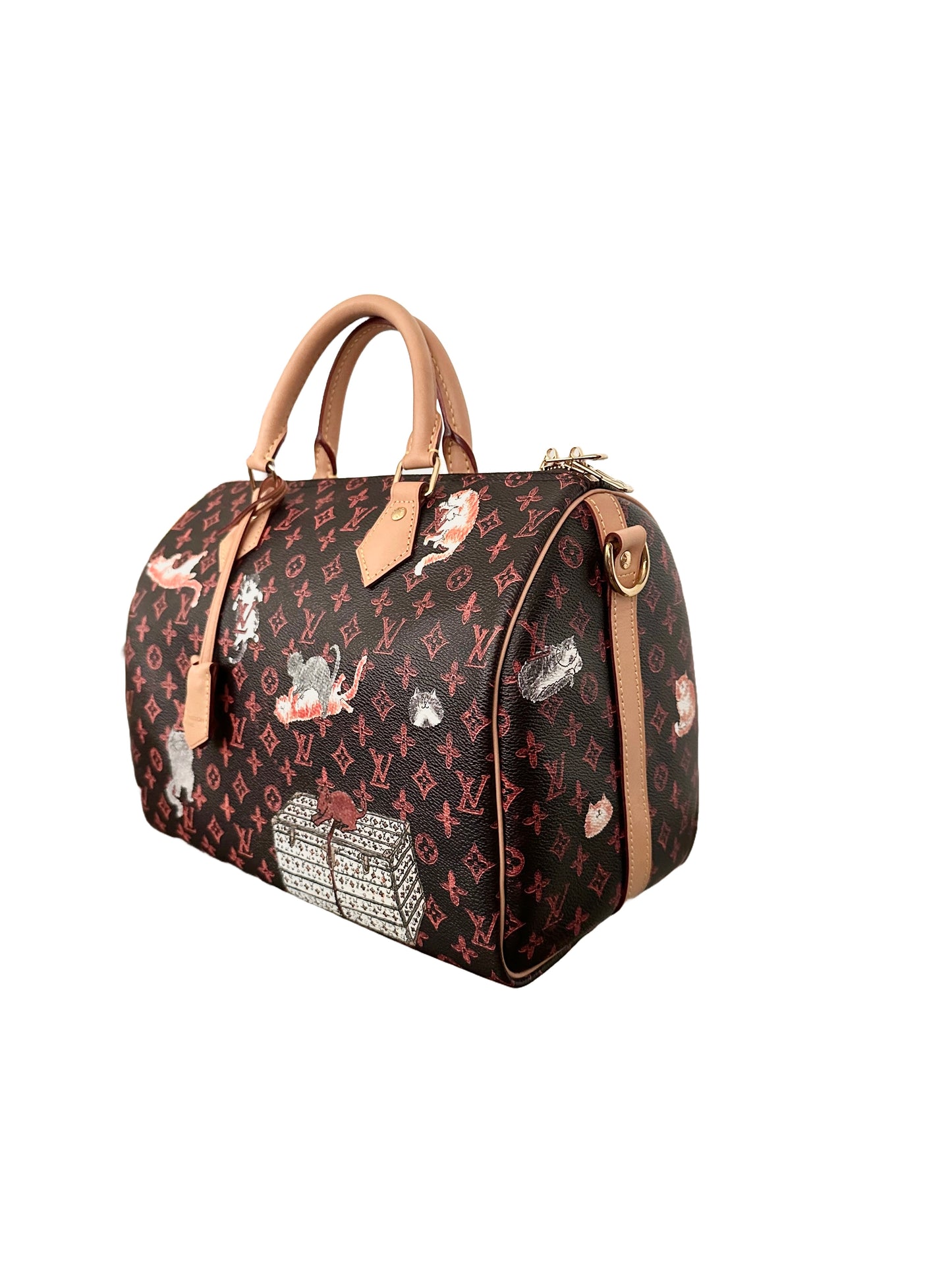 Louis Vuitton x Grace Coddington Catogram Speedy Bandouliere 30