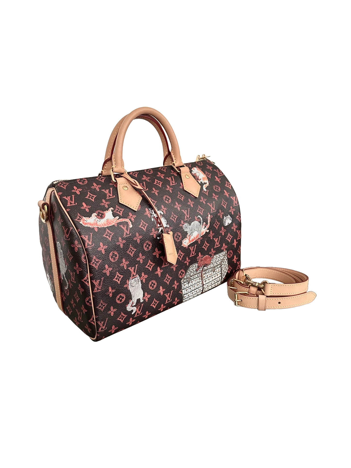 Louis Vuitton x Grace Coddington Catogram Speedy Bandouliere 30