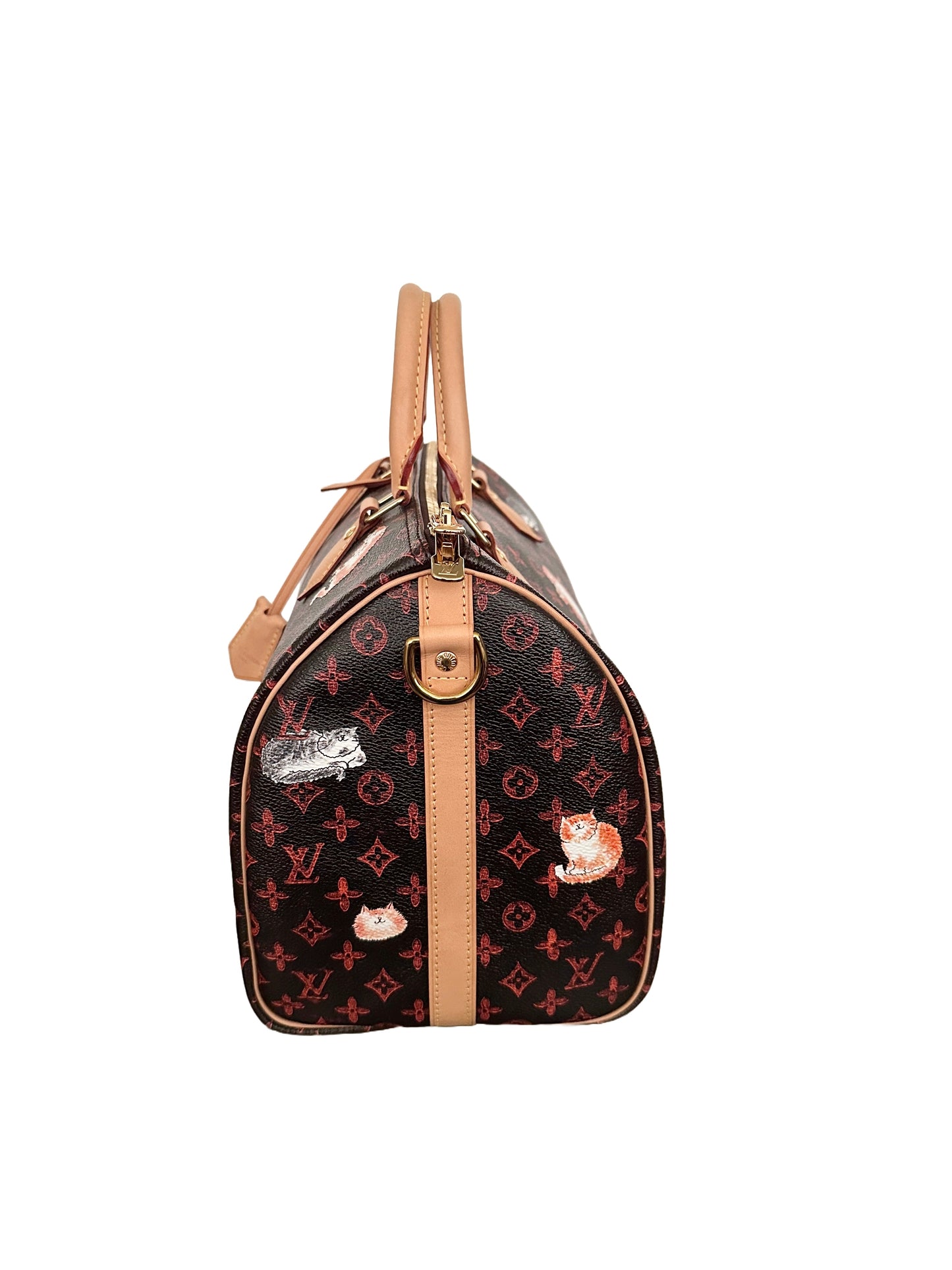 Louis Vuitton x Grace Coddington Catogram Speedy Bandouliere 30
