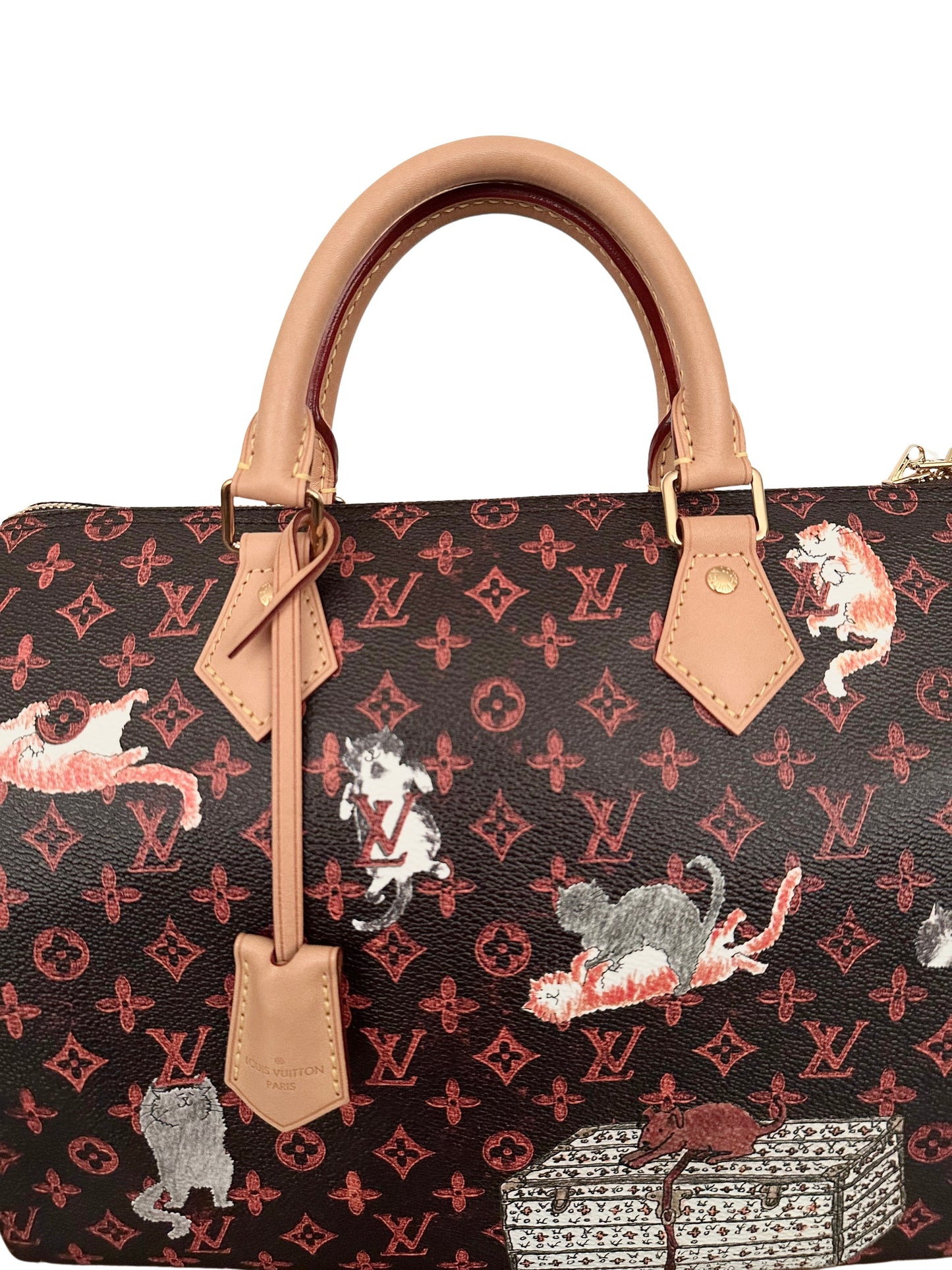 Louis Vuitton x Grace Coddington Catogram Speedy Bandouliere 30