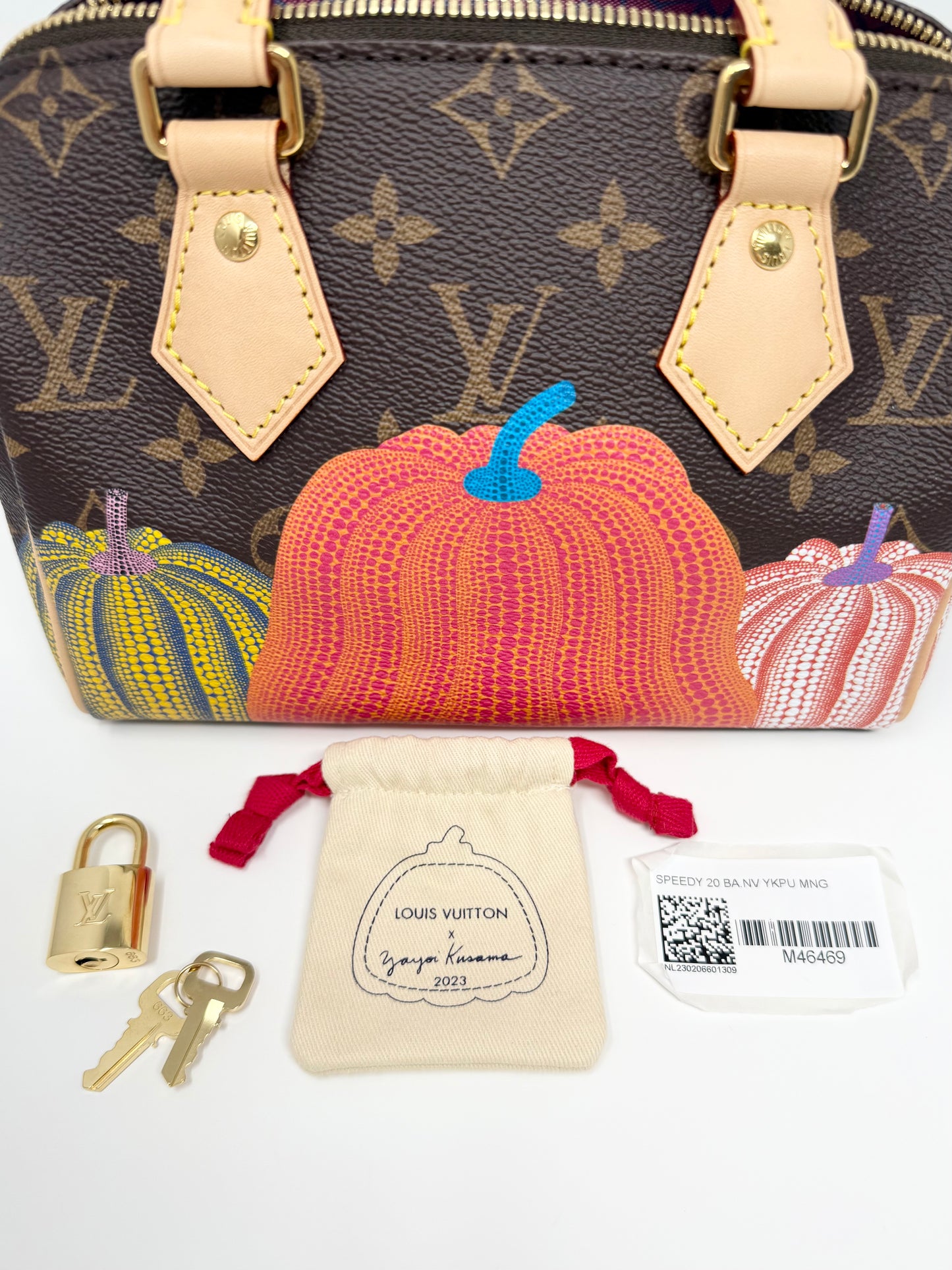 Louis Vuitton Yayoi Kusama Speedy 20 Pumpkin Multicolor Infinity Dots LV x YK