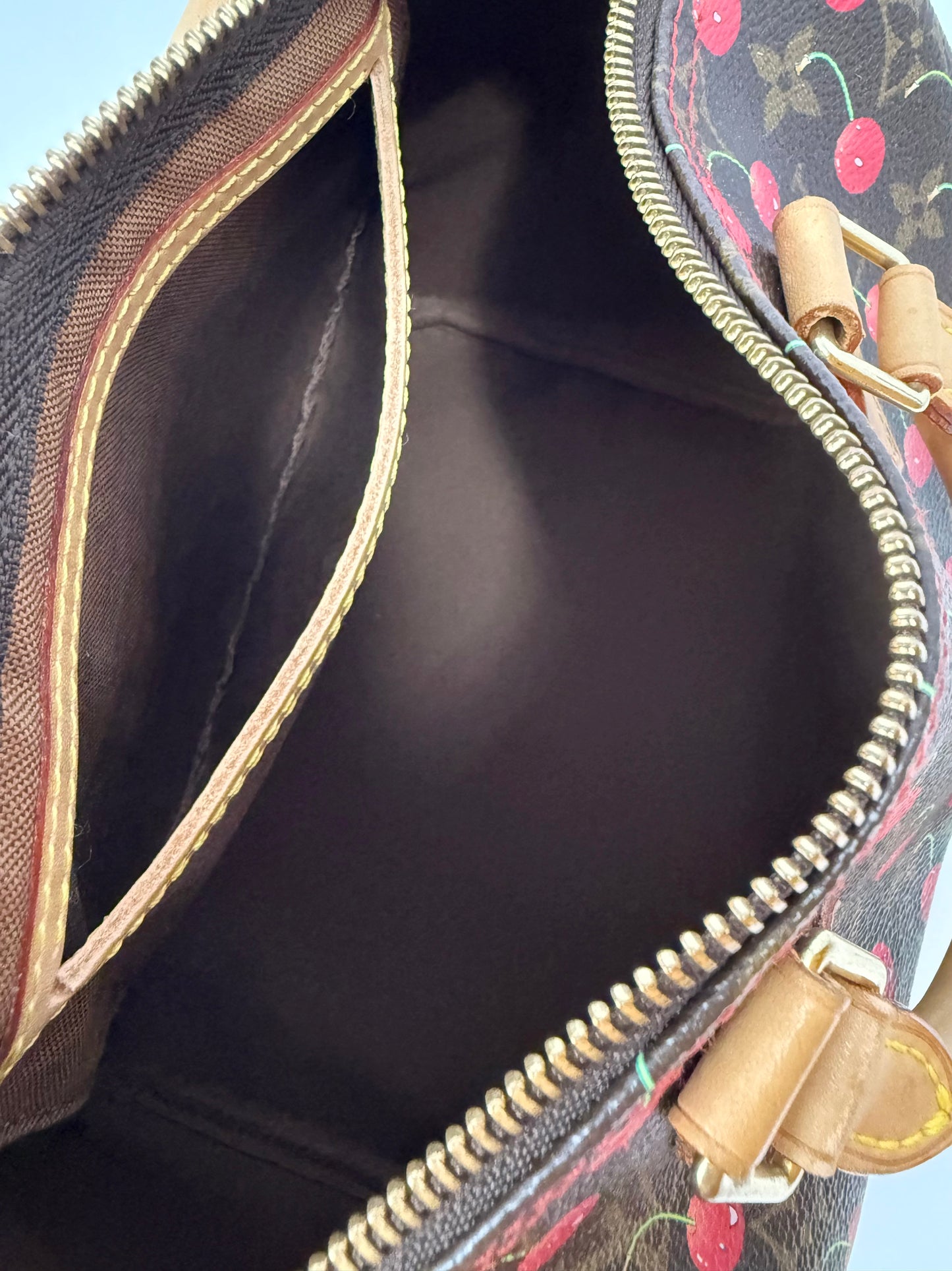 Louis Vuitton Takashi Murakami Monogram Cerises Cherry Speedy 25