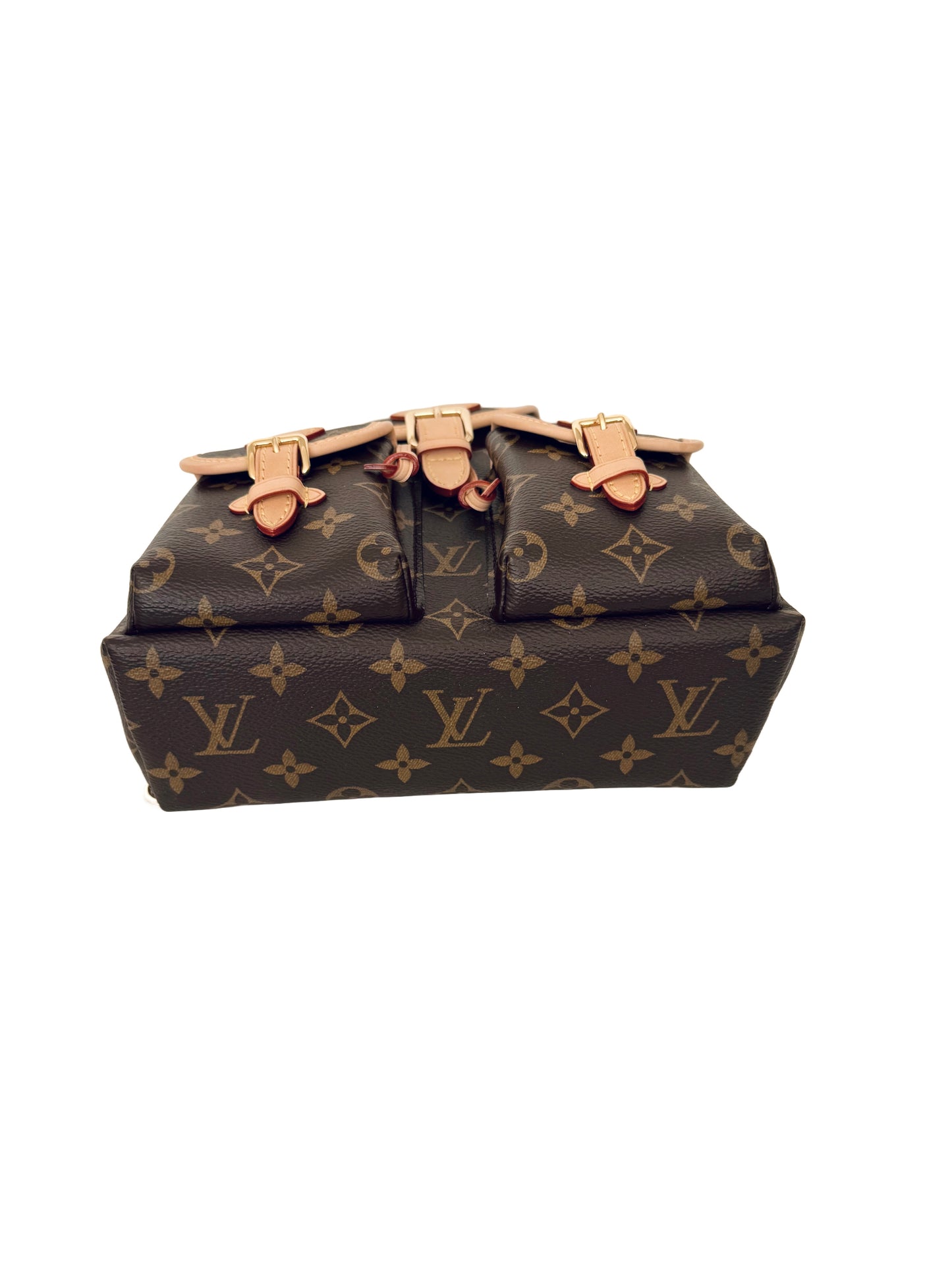 Louis Vuitton Excursion PM Backpack Monogram