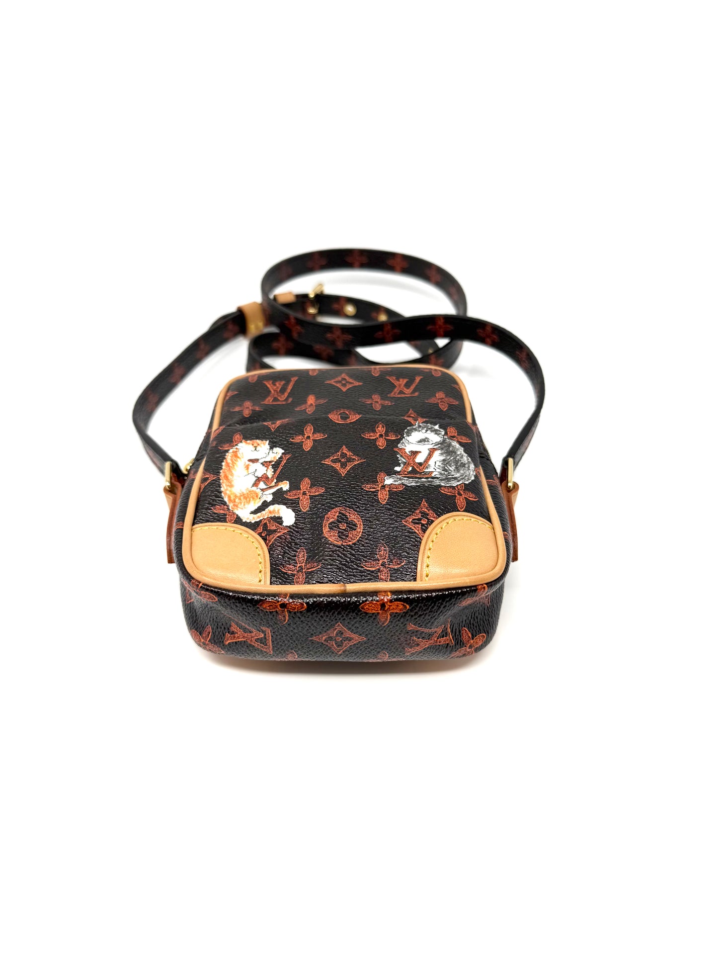 Louis Vuitton x Grace Coddington Catogram Paname Crossbody
