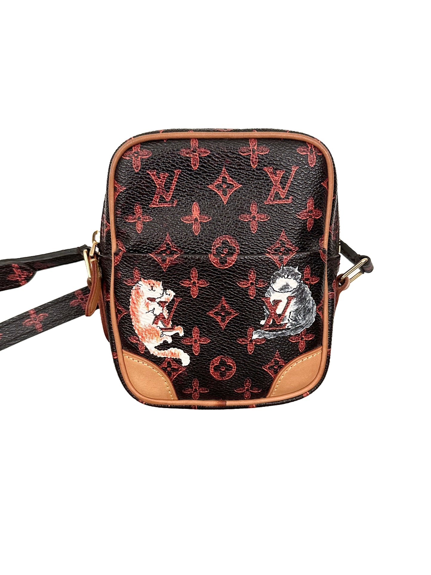 Louis Vuitton Grace Coddington Catogram Paname Crossbody