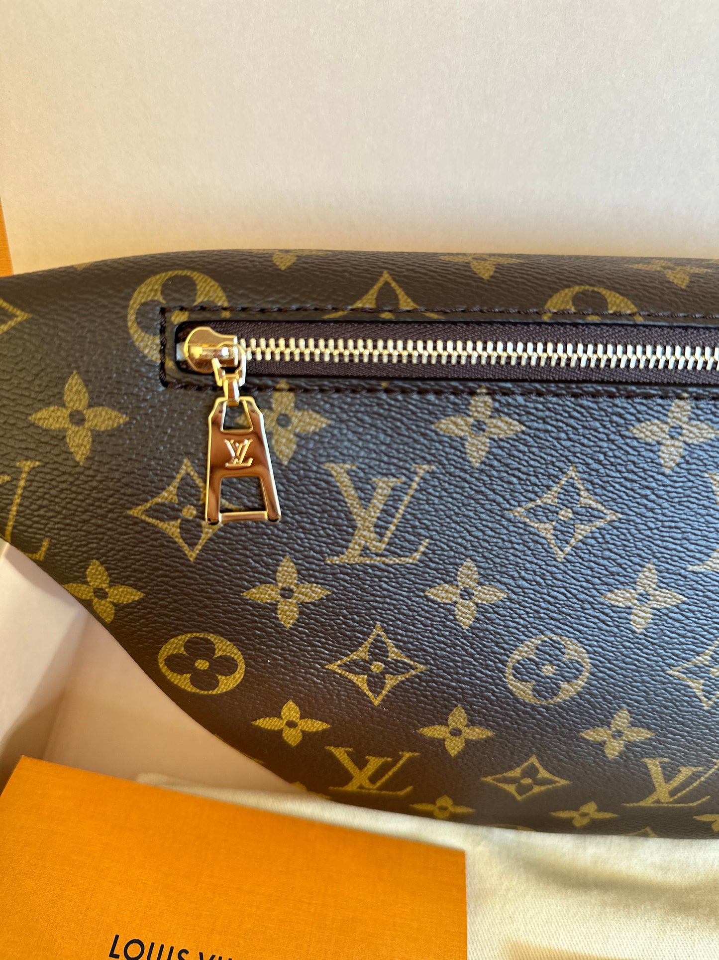 Louis Vuitton High Rise Monogram Bumbag