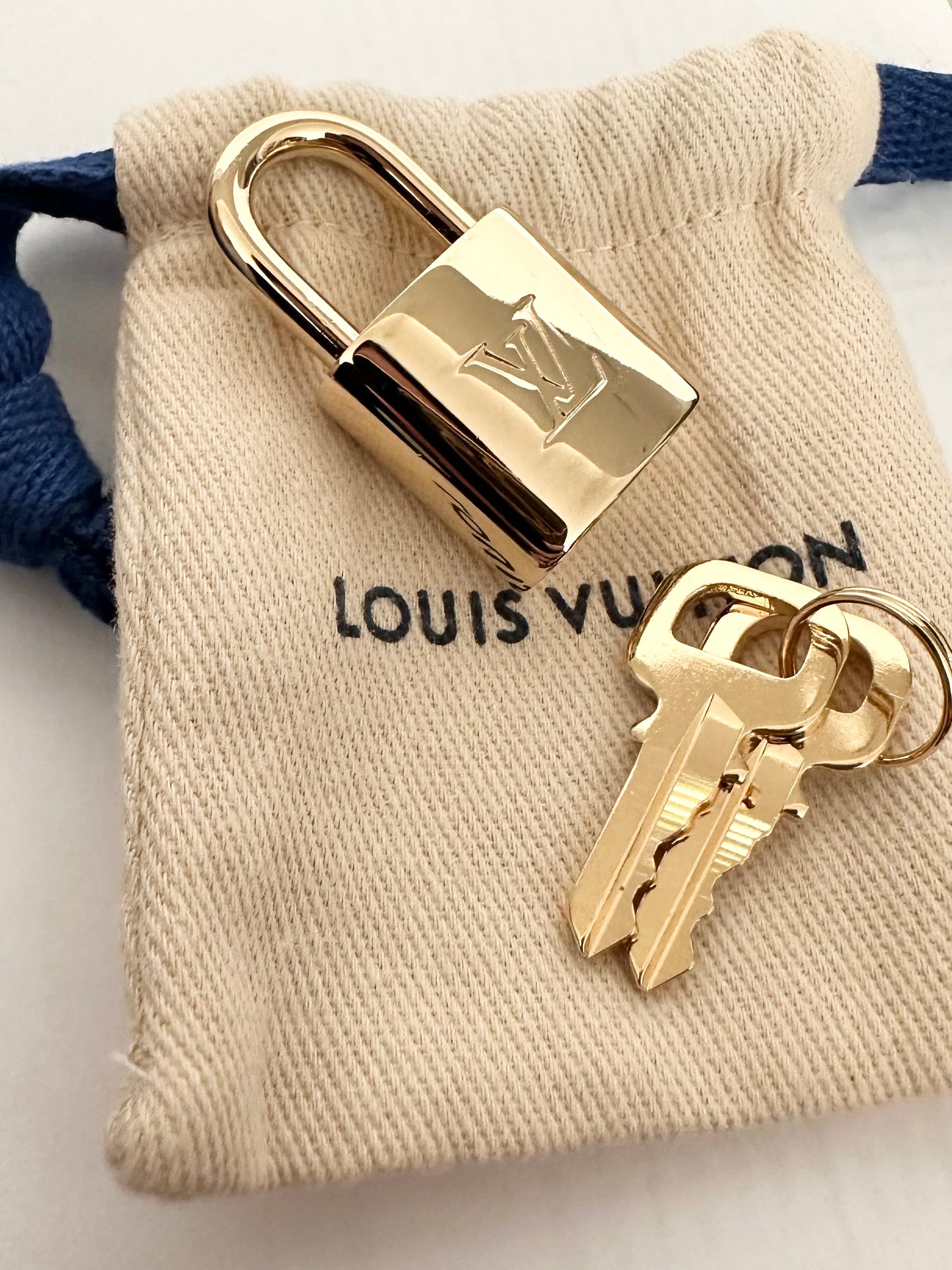 Louis Vuitton Speedy 20 Damierlicious Pistache