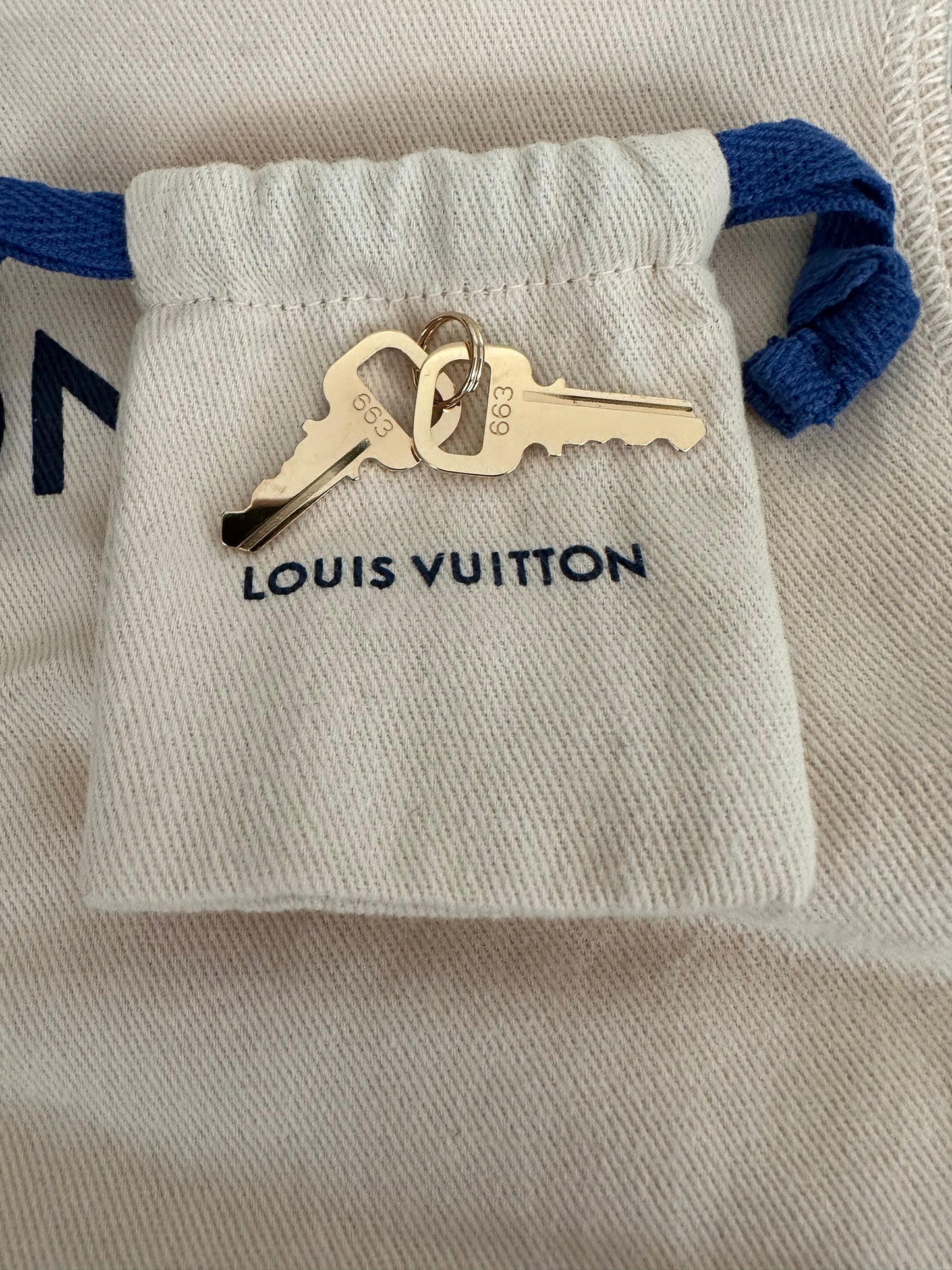 Louis Vuitton Speedy 20 Baby Blue