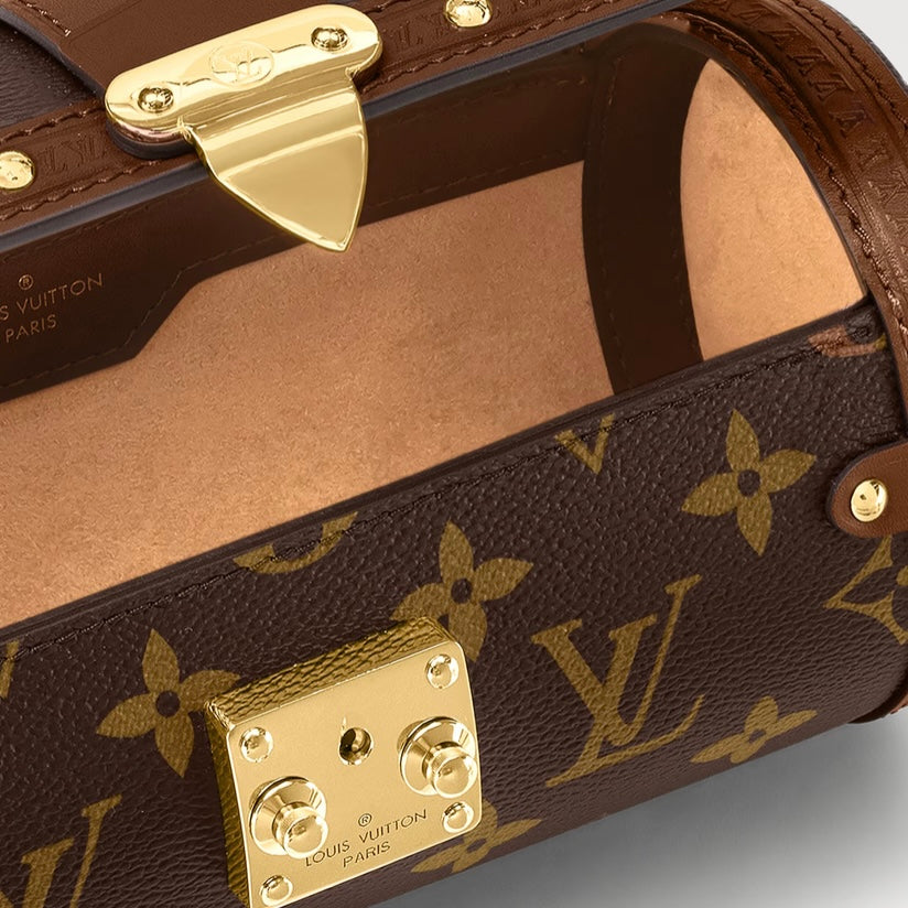 Louis Vuitton Papillon Trunk Monogram Chain Crossbody Bag