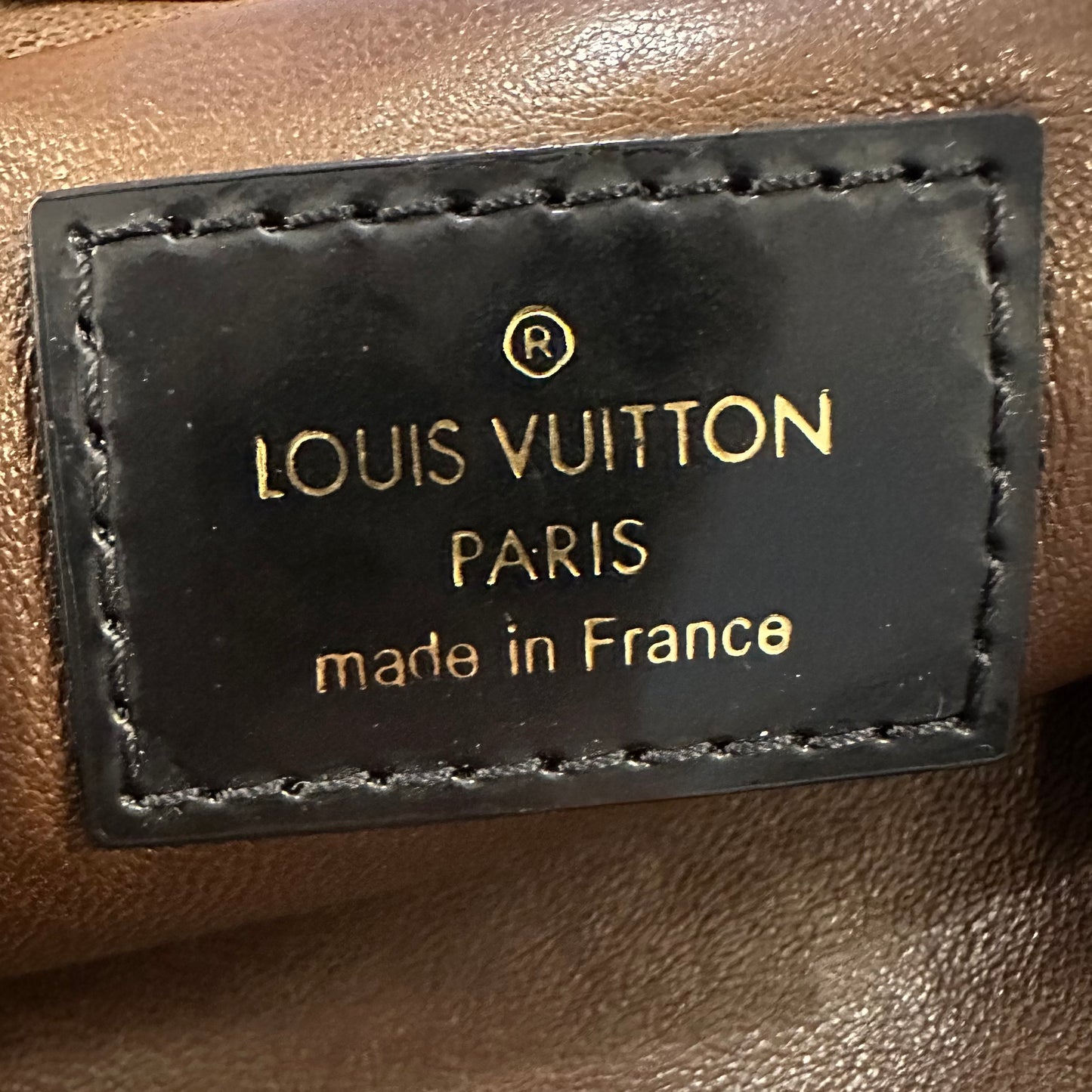 Louis Vuitton Mink Milla Bag Pochette Vision MM Monogram Limited Fur Exotic