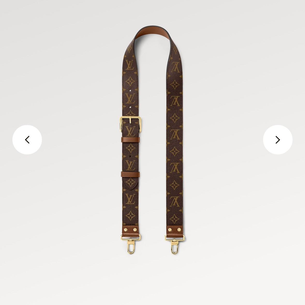 Louis Vuitton Papillon Trunk Monogram Chain Crossbody Bag