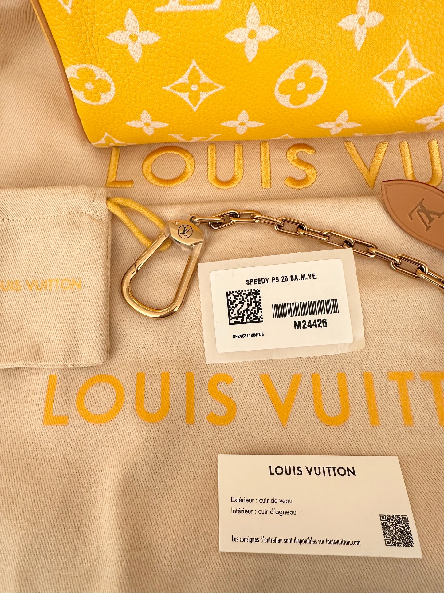 Louis Vuitton x Pharrell Williams Speedy P9 Bandoulière 25 Jaune Yellow Runway