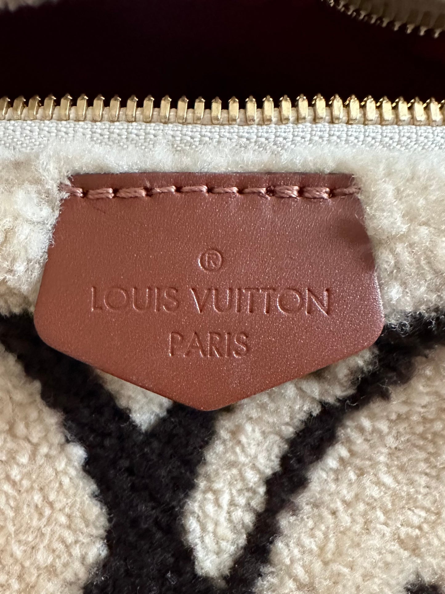 Louis Vuitton Monogram Teddy Fleece Shearling Bumbag Waist Bag