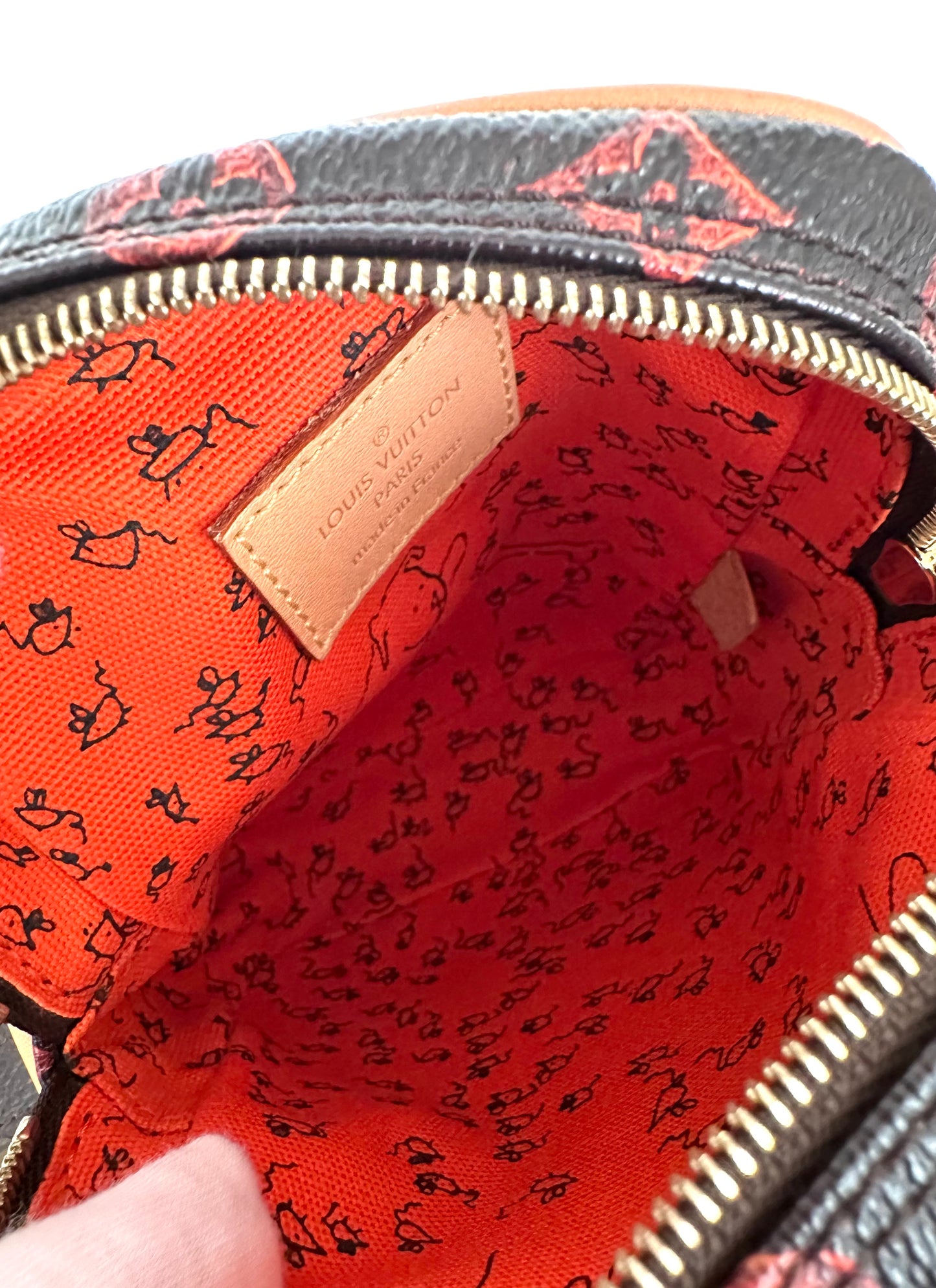 Louis Vuitton Grace Coddington Catogram Paname Crossbody