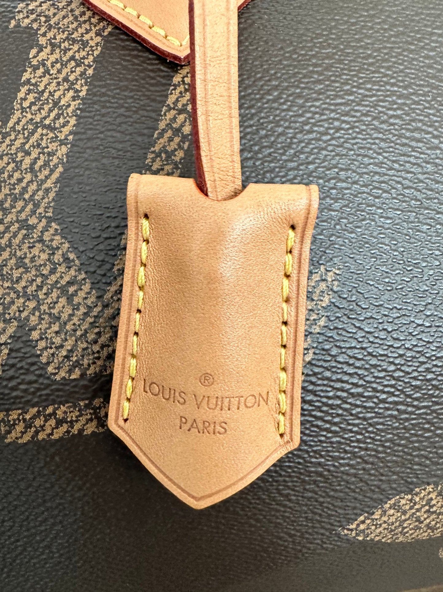 Louis Vuitton Speedy 30 Bandouliere Reverse Giant Monogram Bag