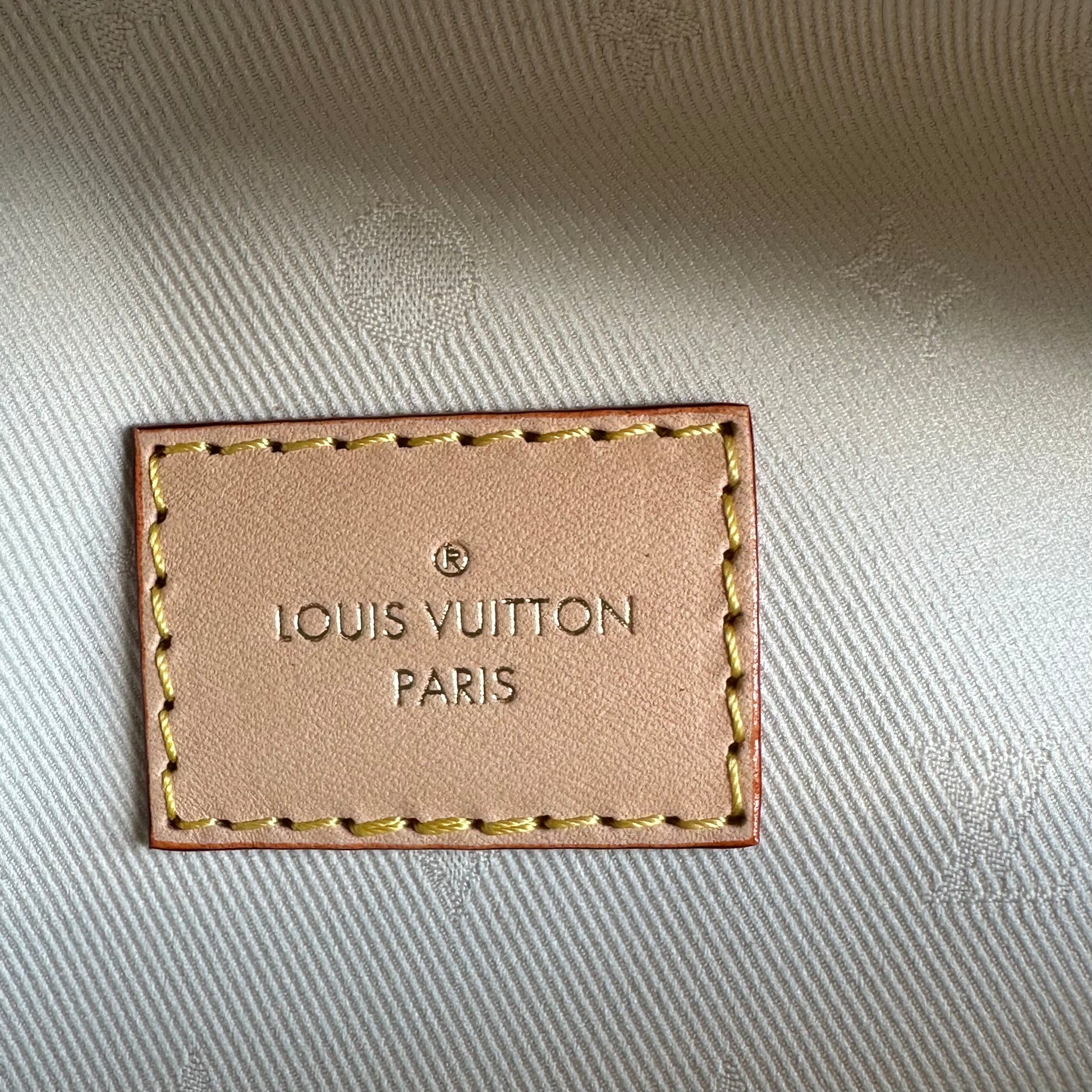 Louis Vuitton Mini Bumbag Gradient Pink for Women
