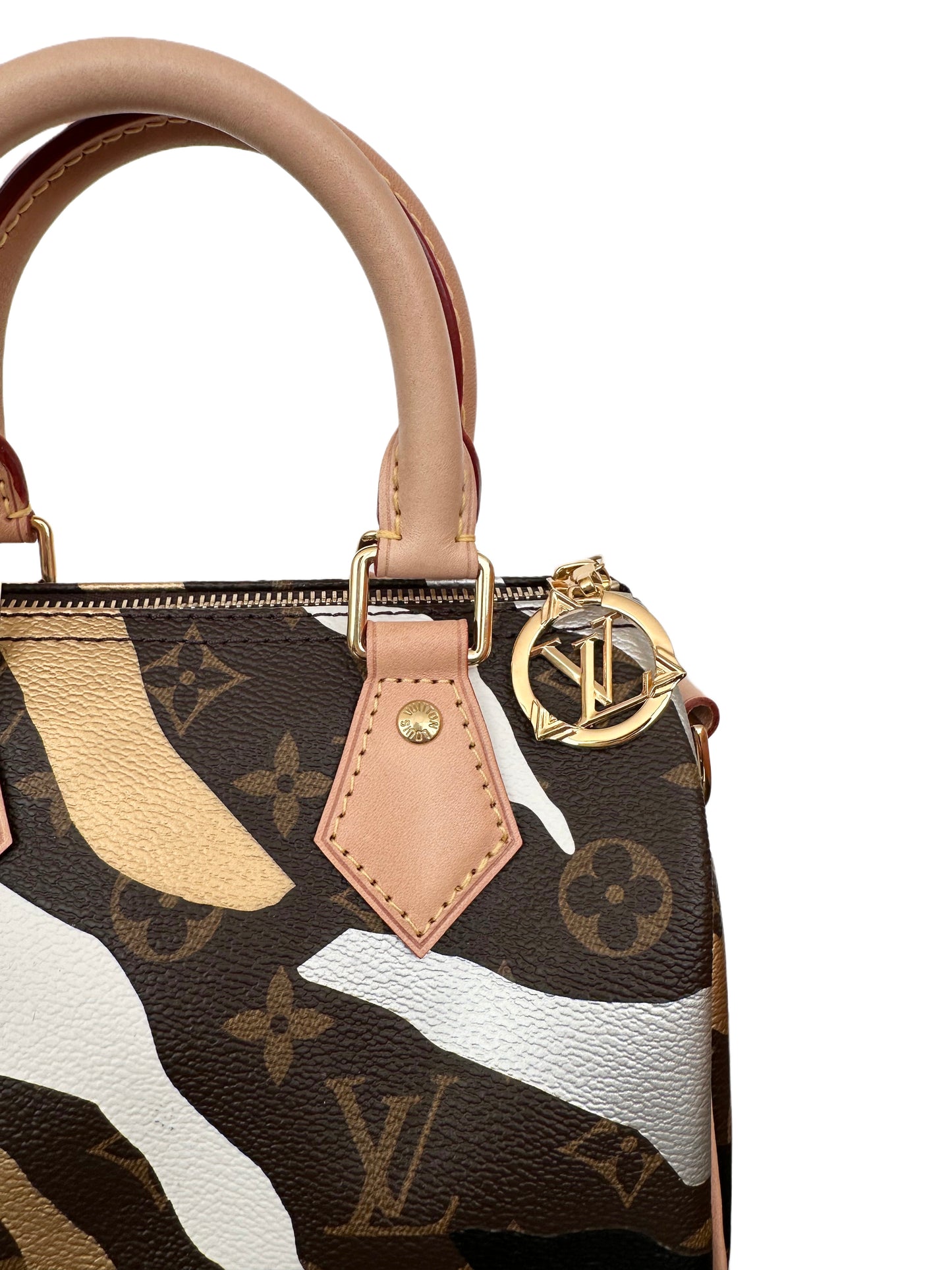 Louis Vuitton x LOL League Of Legends Speedy Nano Limited Edition