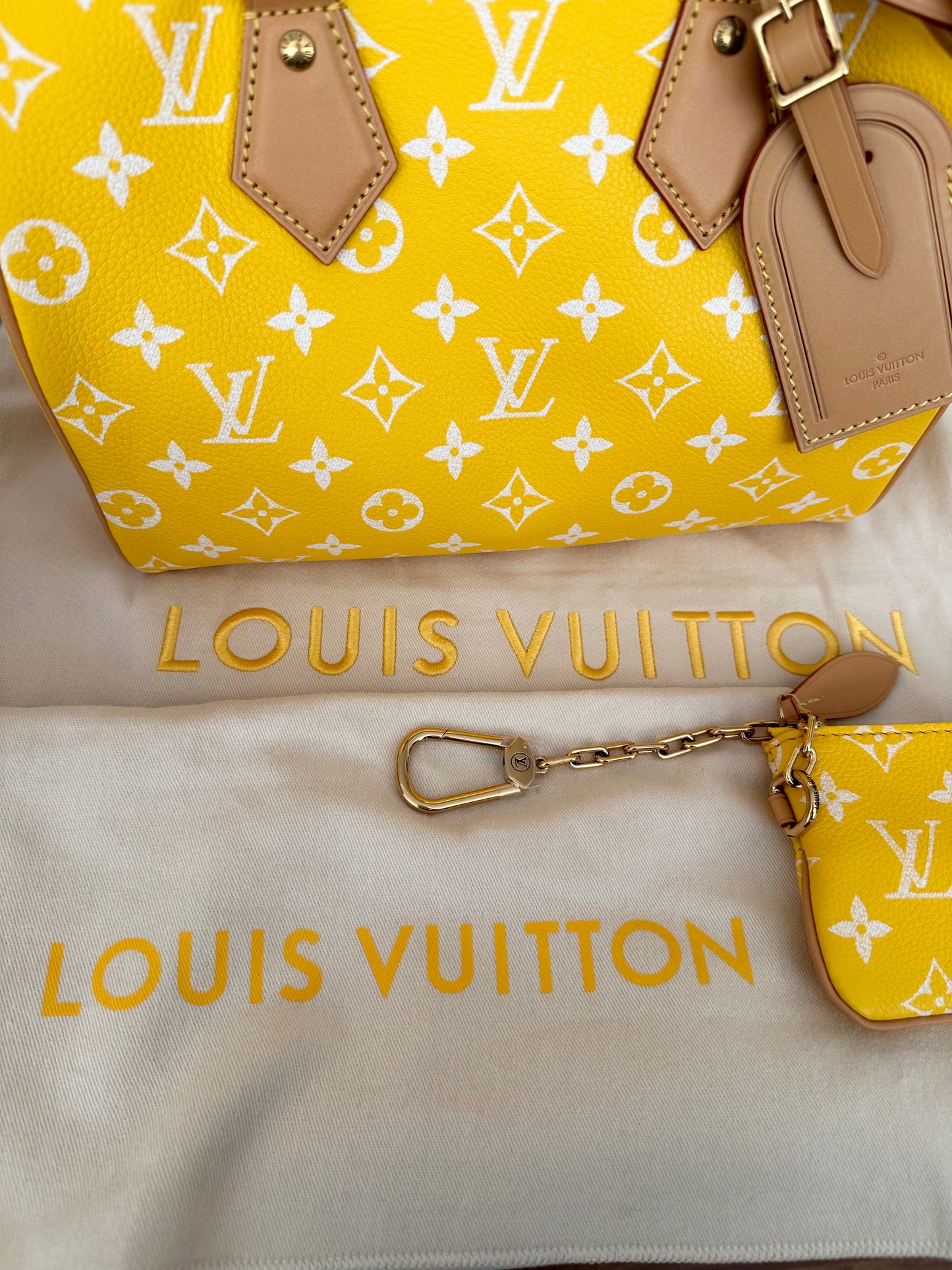 Louis Vuitton x Pharrell Williams Speedy P9 Bandoulière 25 Jaune Yellow Runway