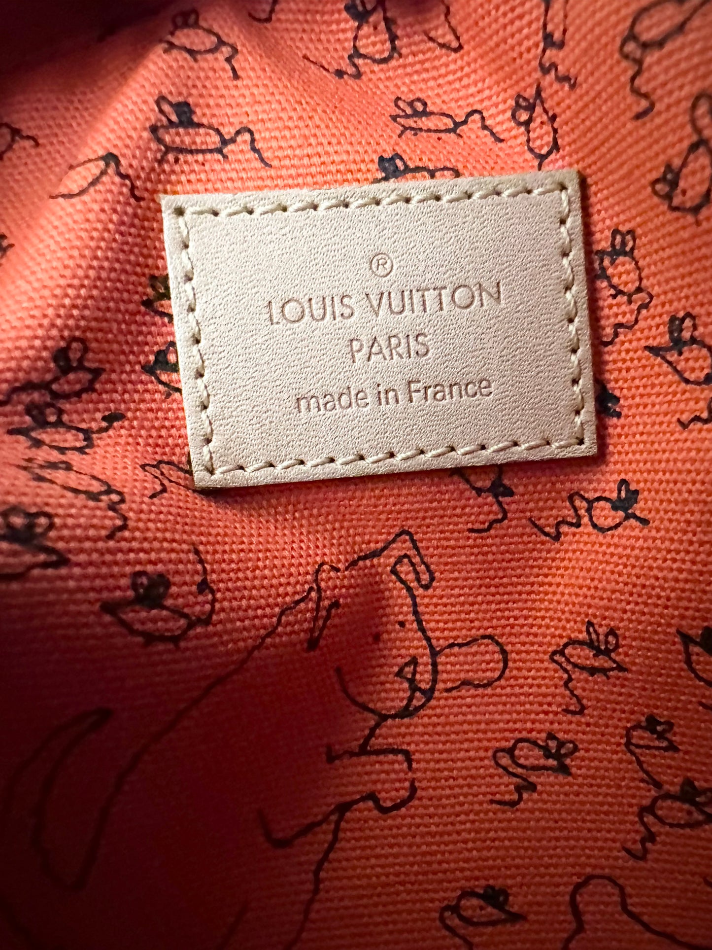 Louis Vuitton Grace Coddington Catogram Paname Crossbody