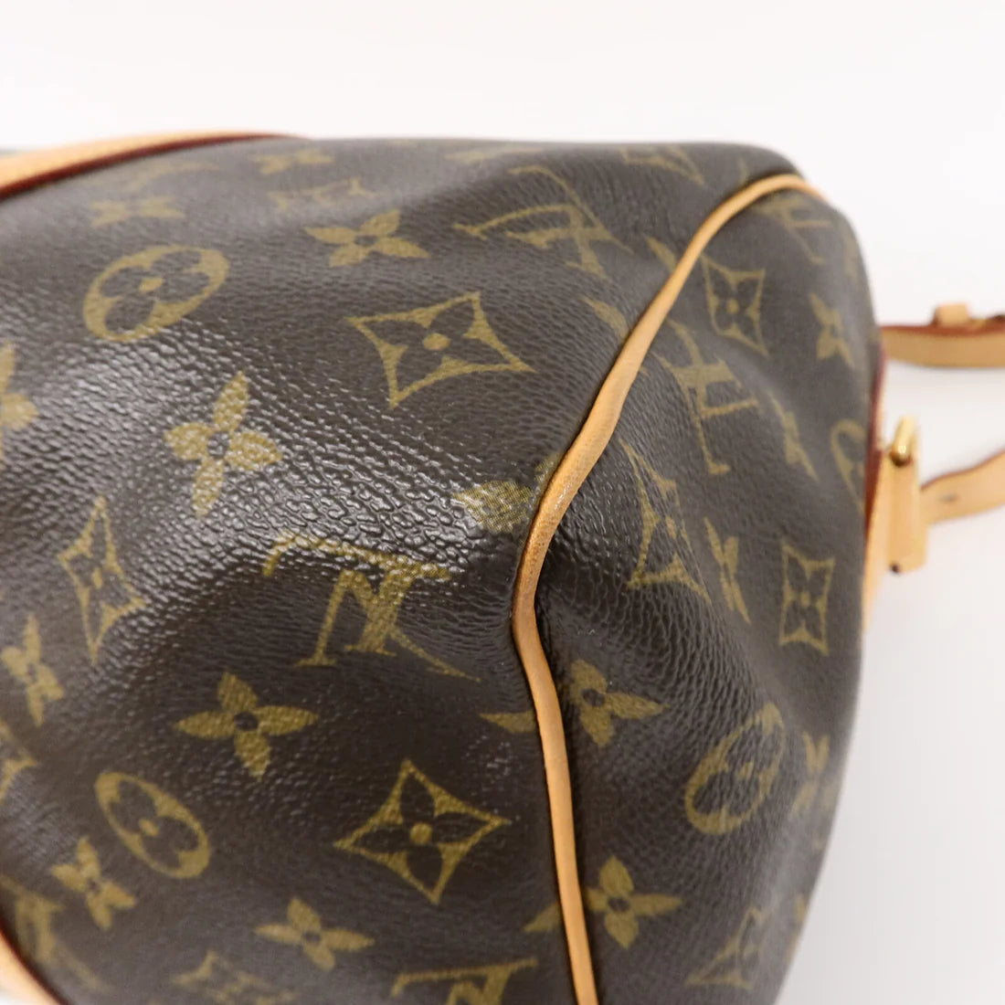 Louis Vuitton Sofia Coppola Speedy Monogram Brown