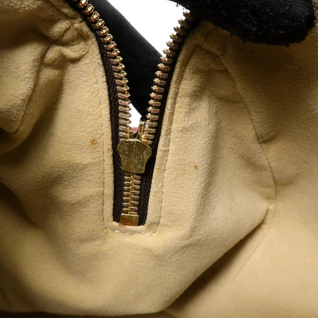Louis Vuitton Sofia Coppola Speedy Monogram Brown