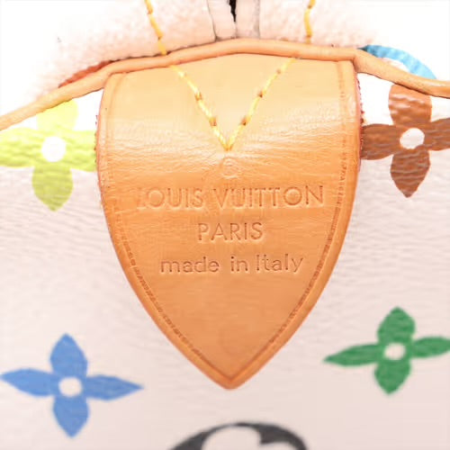 Louis Vuitton Takashi Murakami Multicolor Speedy 30 Monogram White