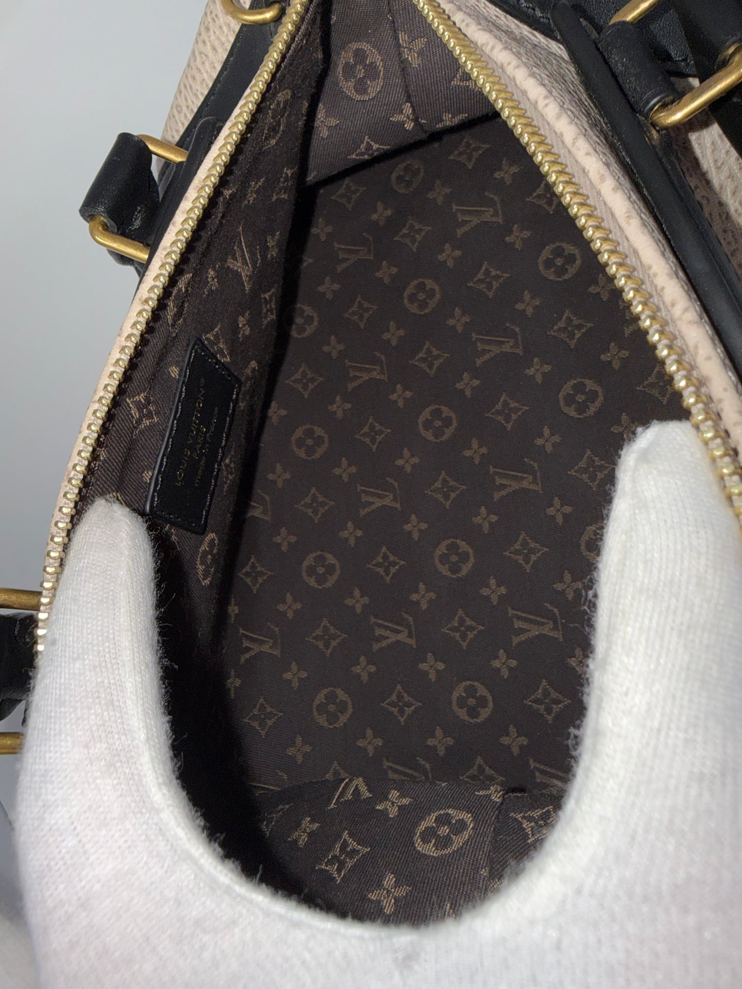 Louis Vuitton LV Biker Bag Leather PM Neutral