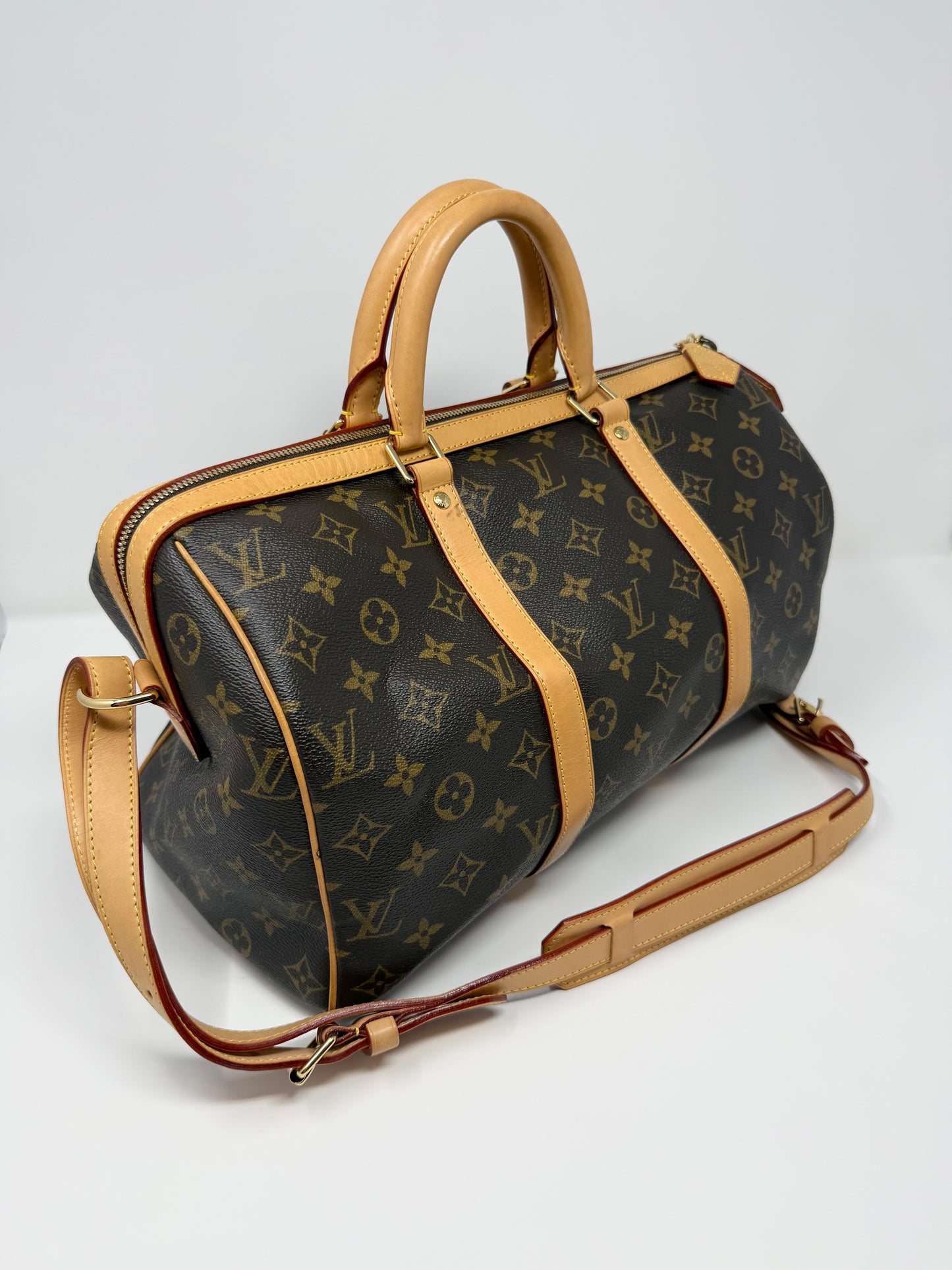 Louis Vuitton Sofia Coppola Speedy Monogram Brown