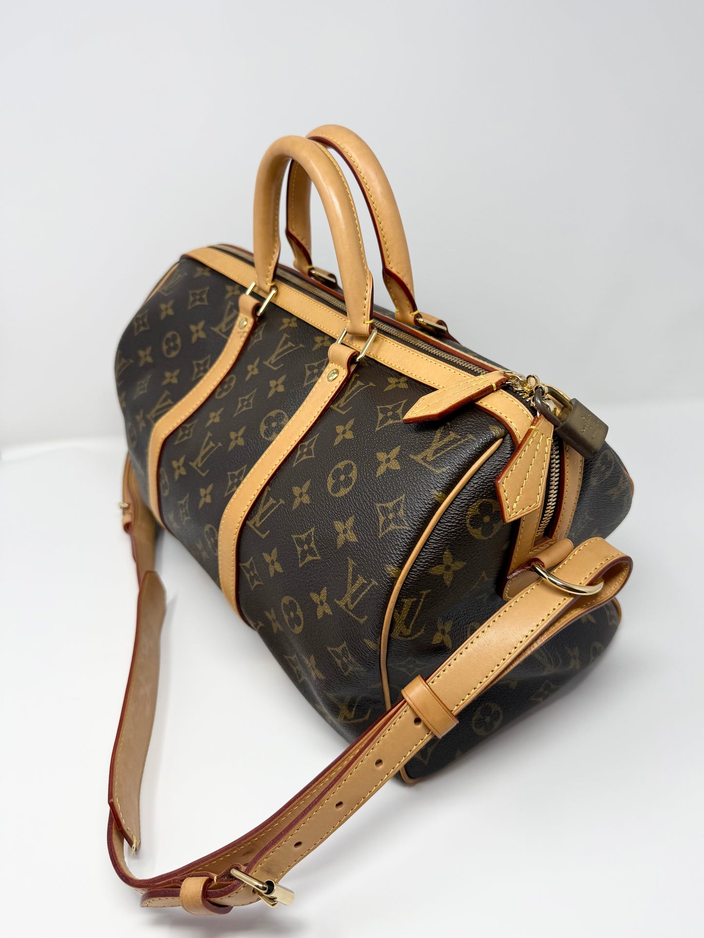 Louis Vuitton Sofia Coppola Speedy Monogram Brown