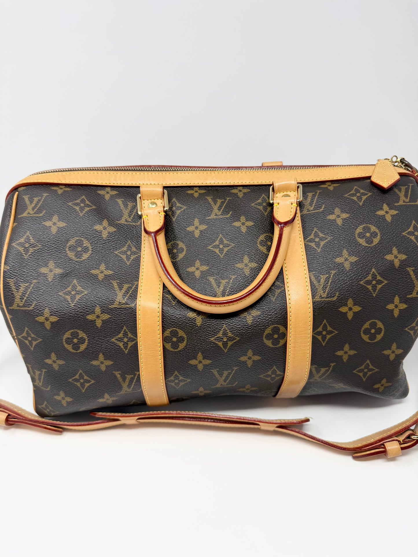 Louis Vuitton Sofia Coppola Speedy Monogram Brown