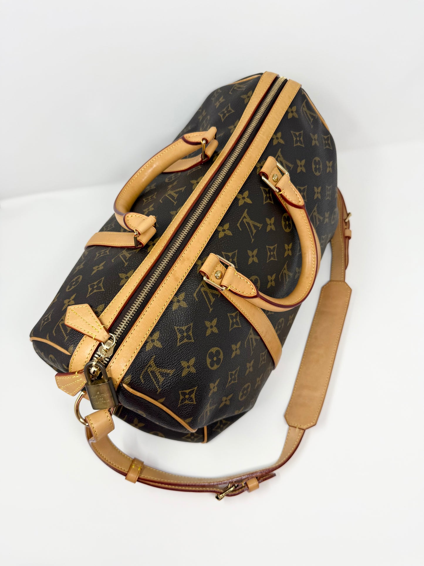 Louis Vuitton Sofia Coppola Speedy Monogram Brown