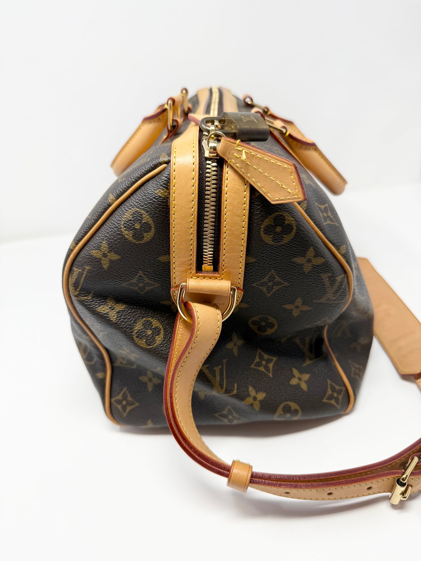 Louis Vuitton Sofia Coppola Speedy Monogram Brown