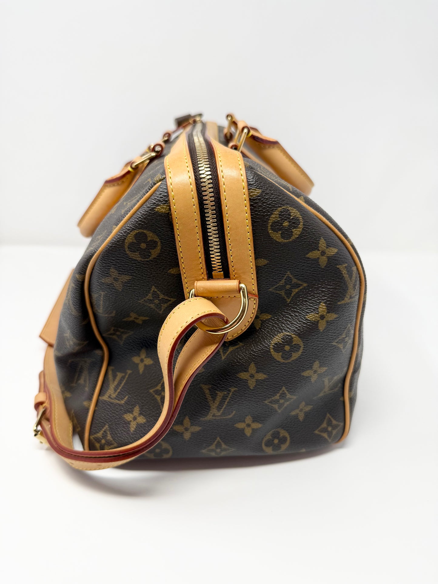Louis Vuitton Sofia Coppola Speedy Monogram Brown