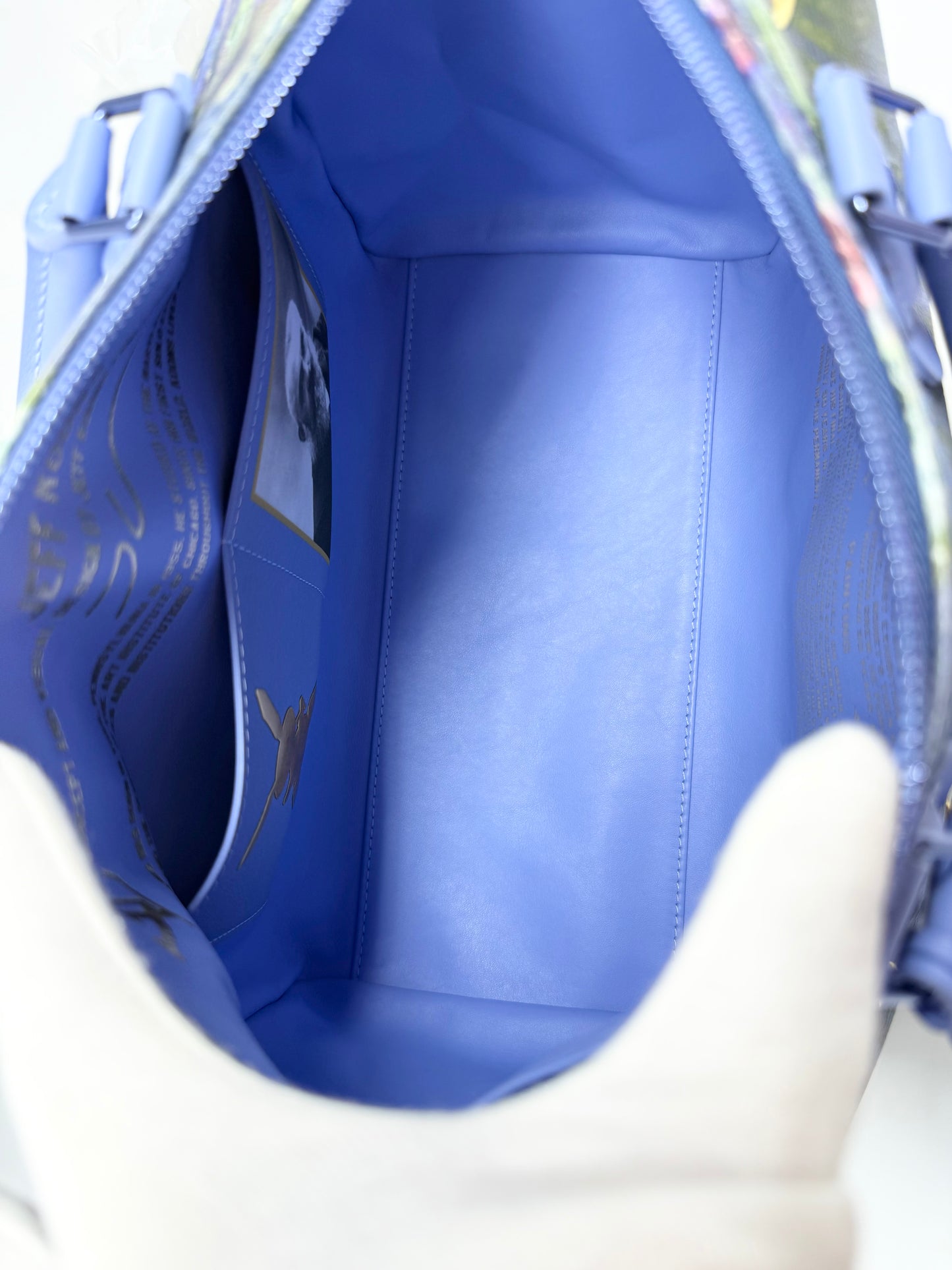 Louis Vuitton x Jeff Koons Speedy 30 Monet Lilies Masters Collection