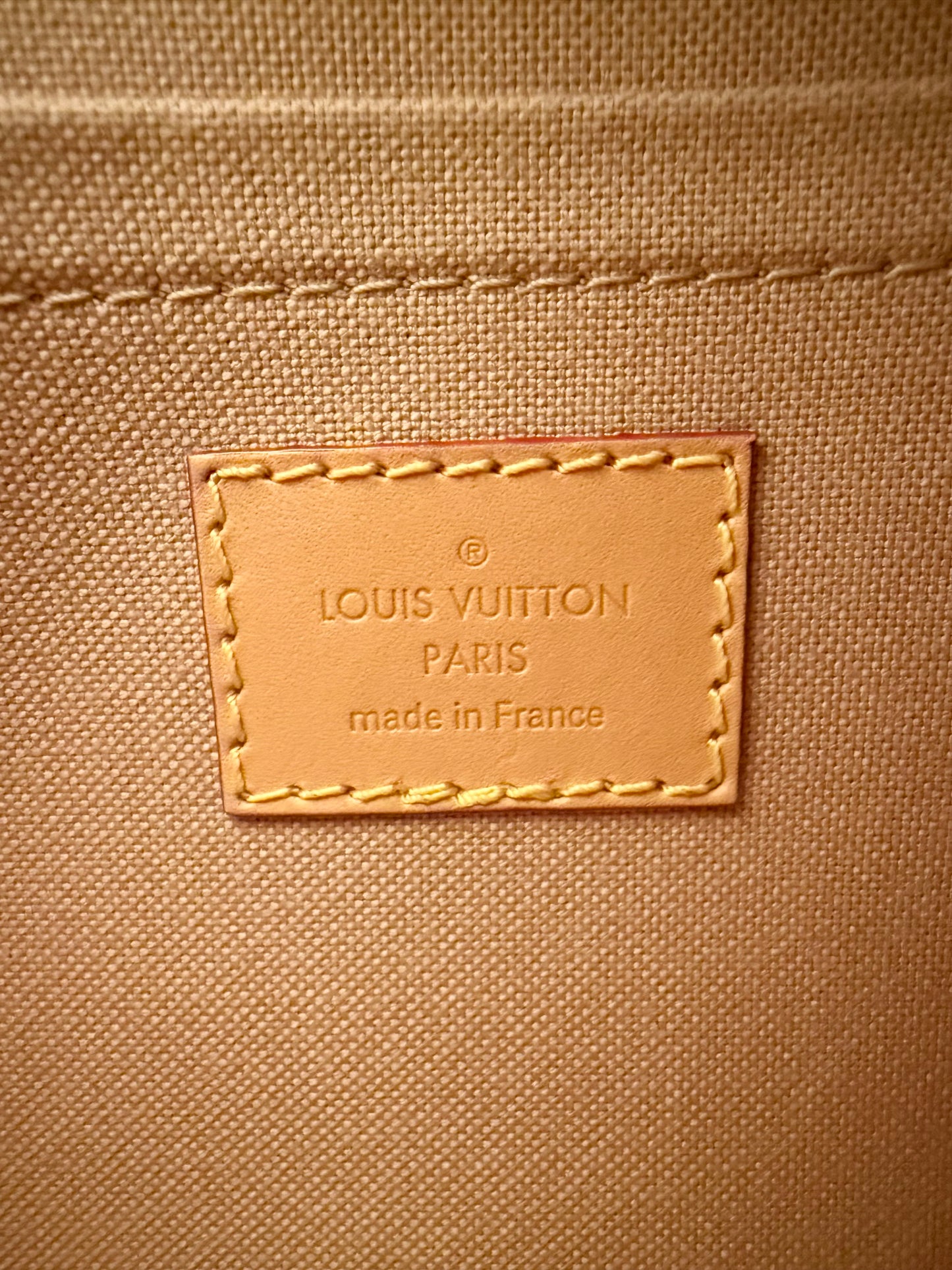 Louis Vuitton Monogram Speedy 20 Bandouliere Dune Cruise