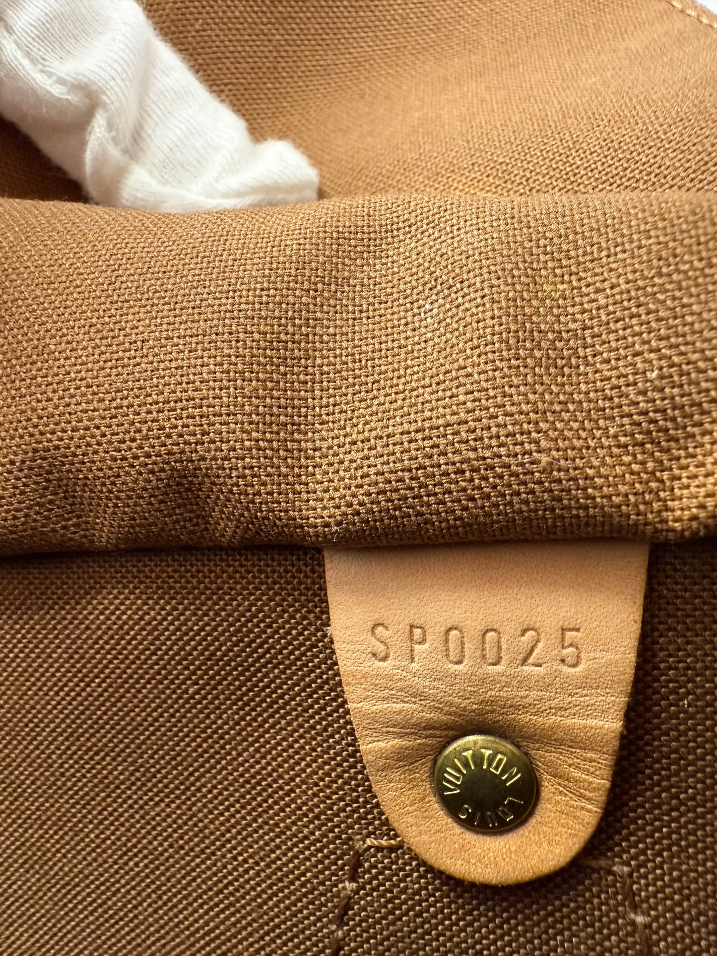 Louis Vuitton Takashi Murakami Monogram Cerises Cherry Speedy 25