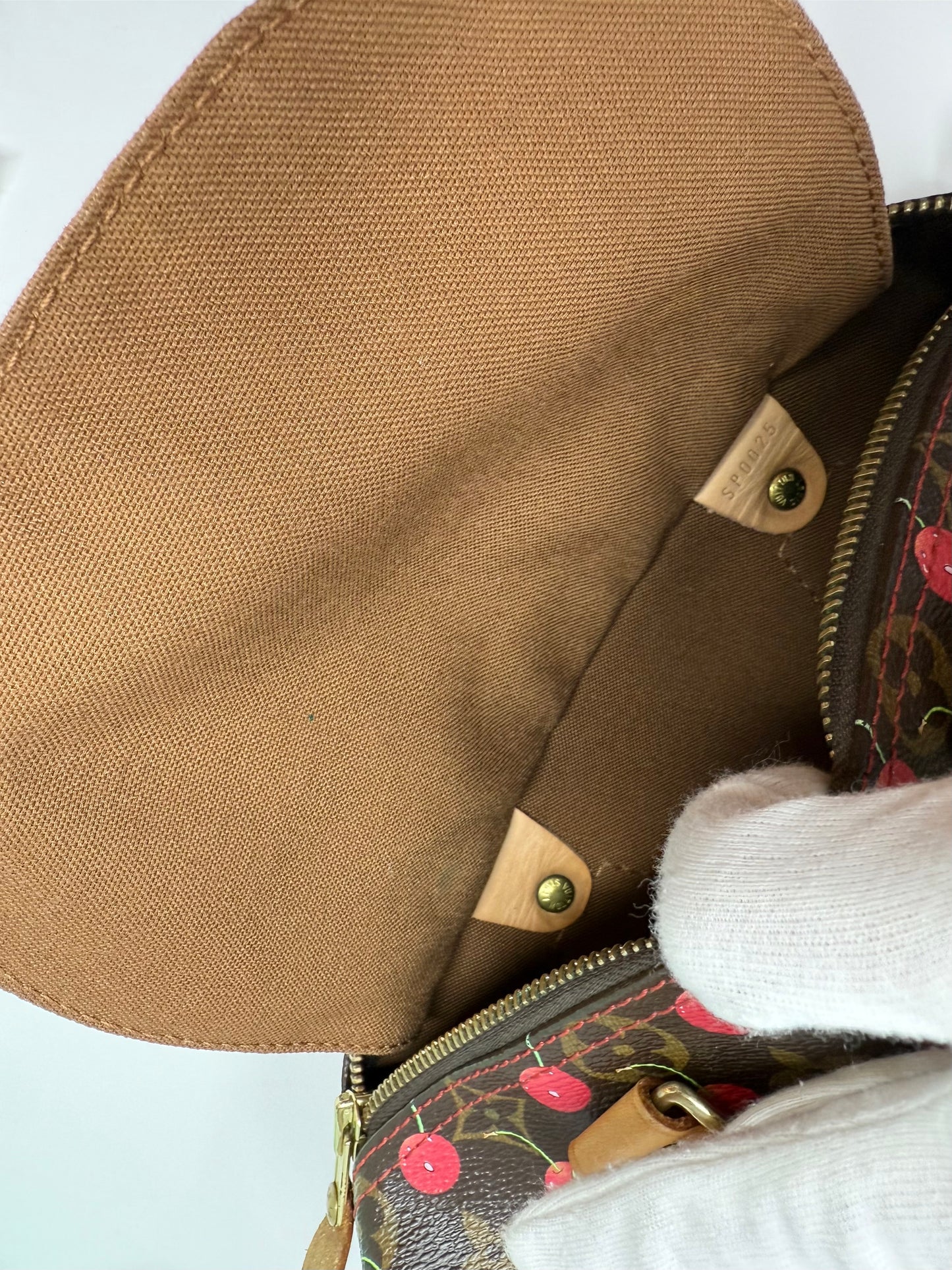 Louis Vuitton Takashi Murakami Monogram Cerises Cherry Speedy 25