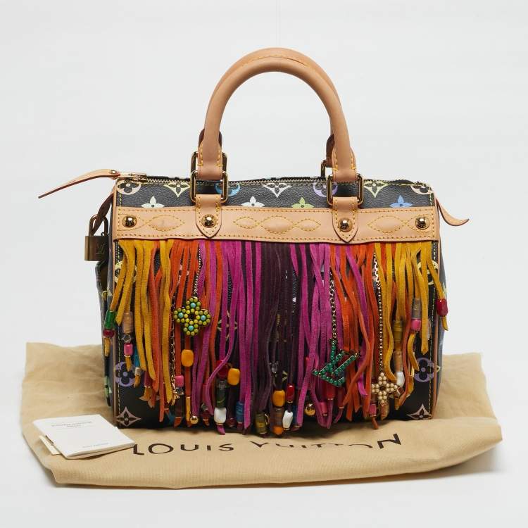 Louis Vuitton Takashi Murakami Speedy 25 Fringe Multicolor Black