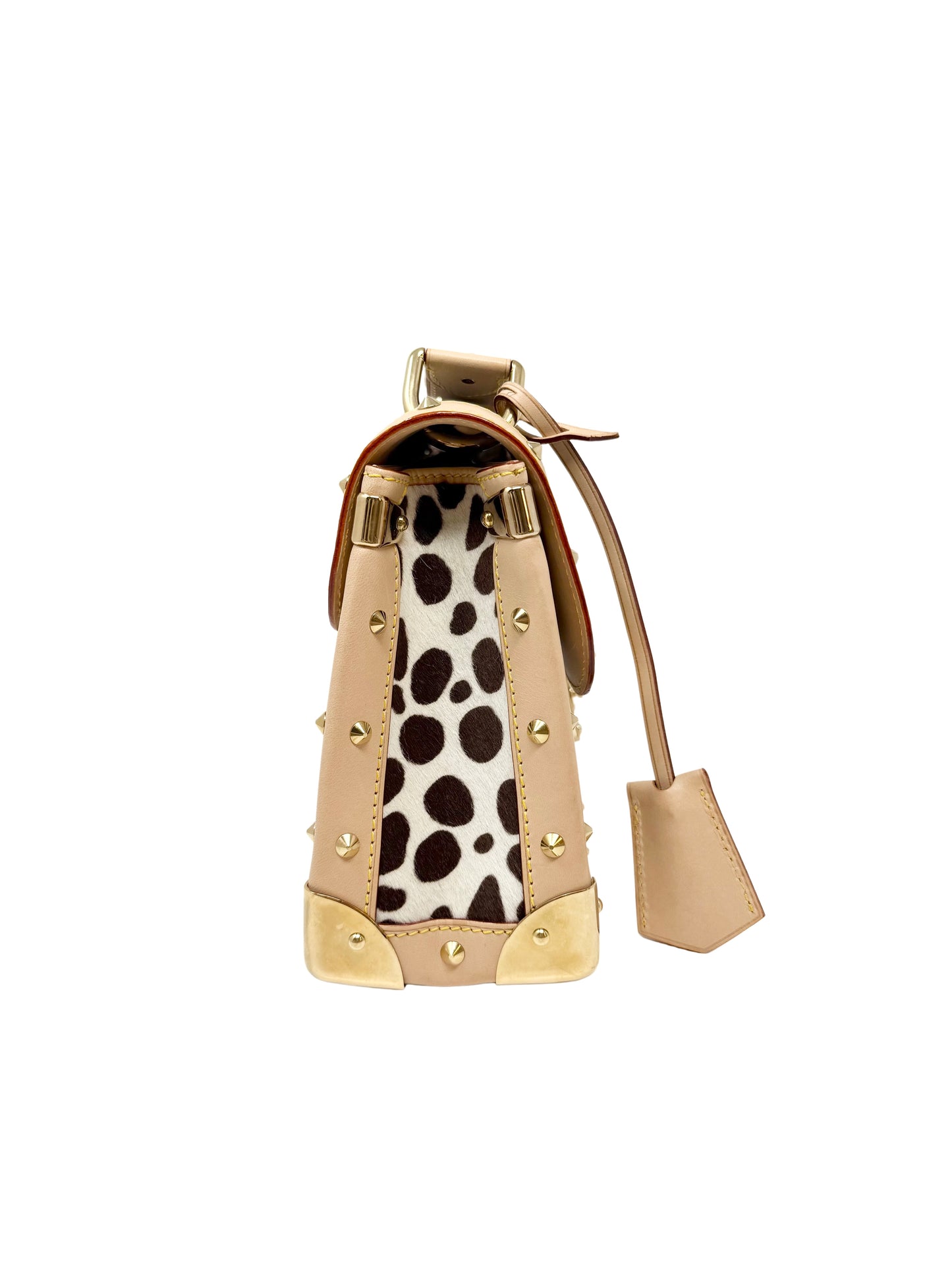 Louis Vuitton Takashi Murakami Dalmatian Sac Rabat Multicolor Black