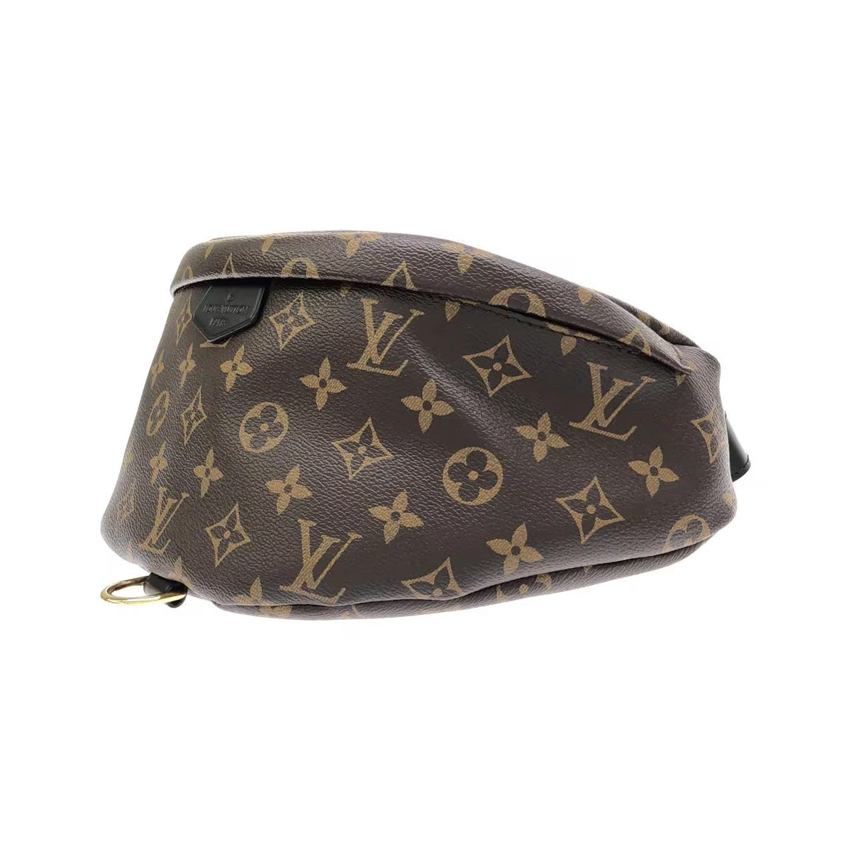 Louis Vuitton Bumbag Monogram Canvas Brown World Tour Fanny Waist Bag