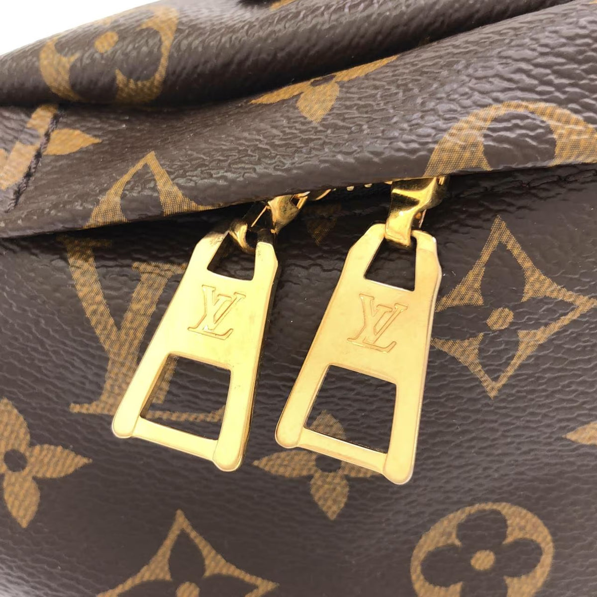 Louis Vuitton Bumbag Monogram Canvas Brown World Tour Fanny Waist Bag