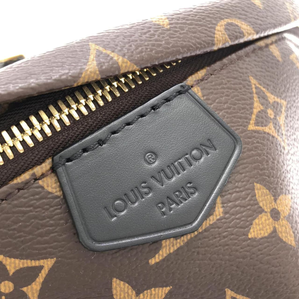 Louis Vuitton Bumbag Monogram Canvas Brown World Tour Fanny Waist Bag