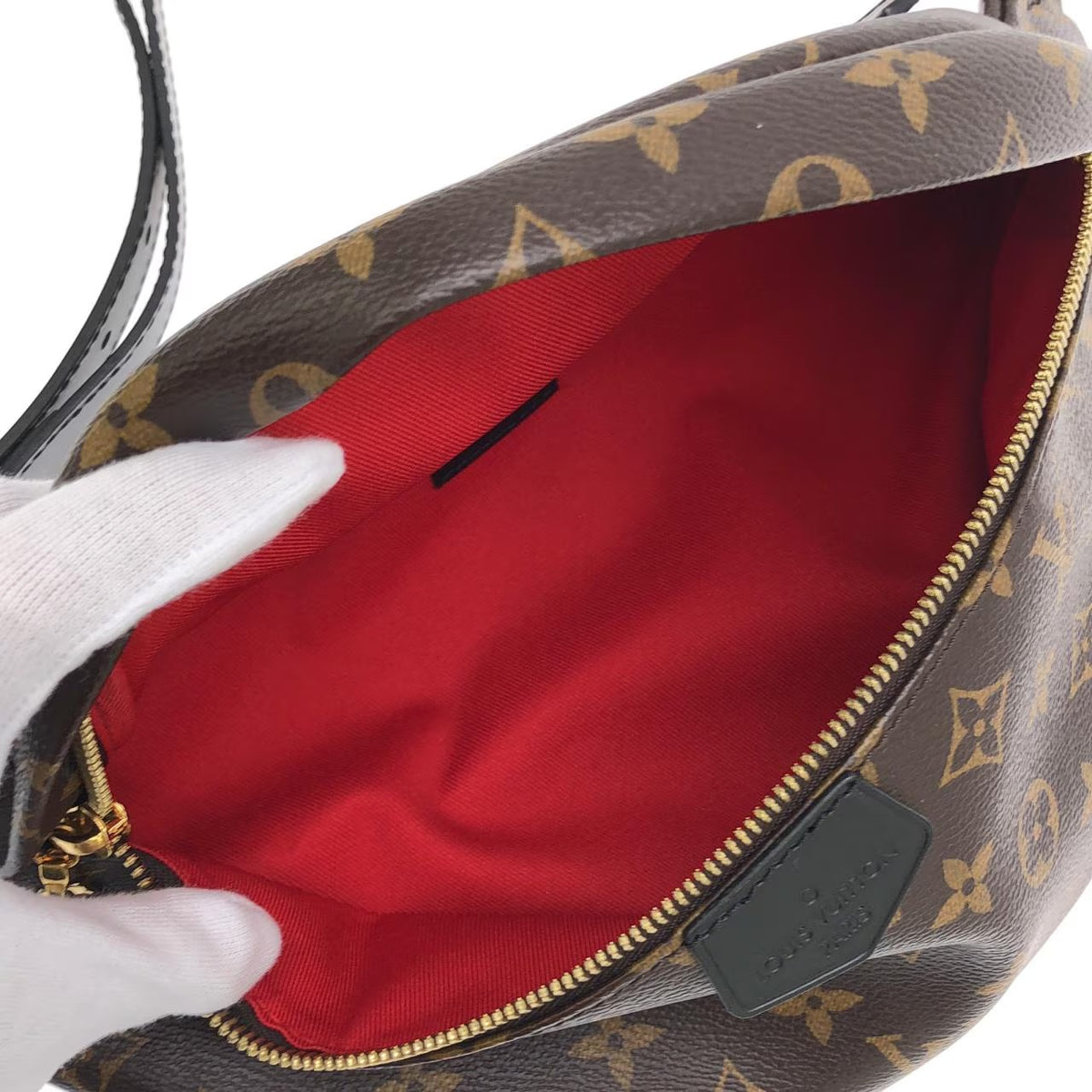 Louis Vuitton Bumbag Monogram Canvas Brown World Tour Fanny Waist Bag