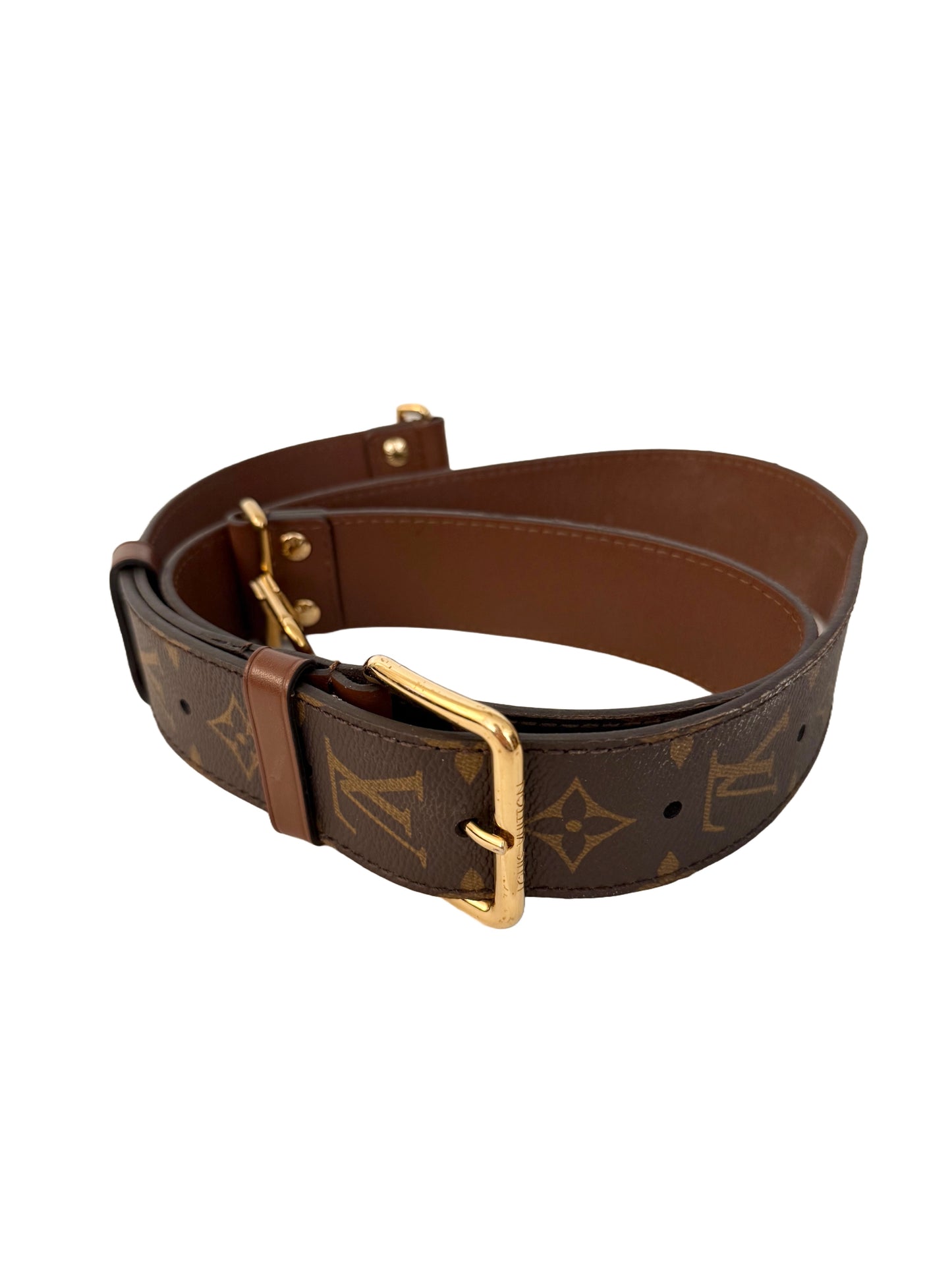 Louis Vuitton Papillon Trunk Monogram Chain Crossbody Bag