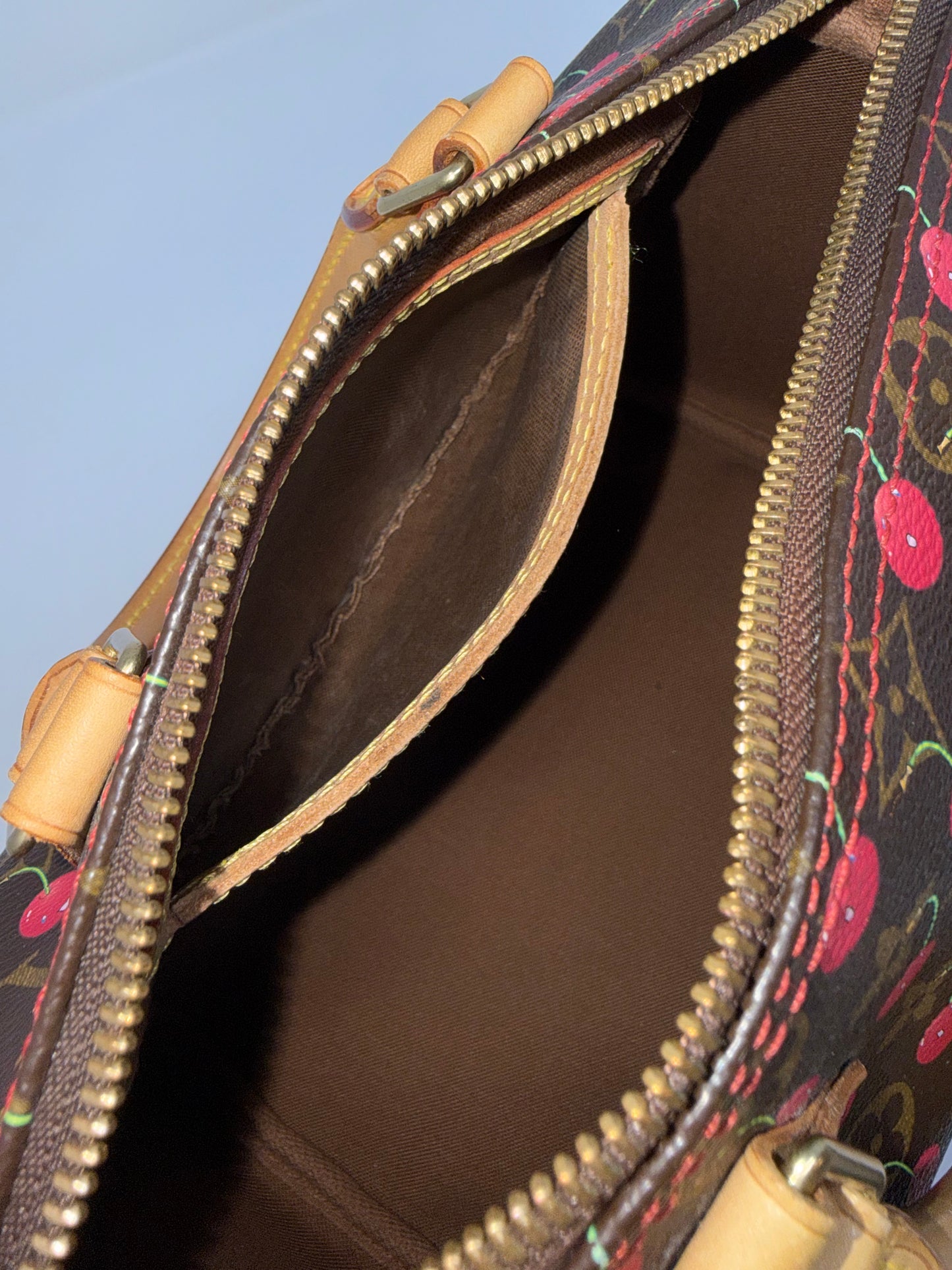 Louis Vuitton Takashi Murakami Monogram Cerises Cherry Speedy 25