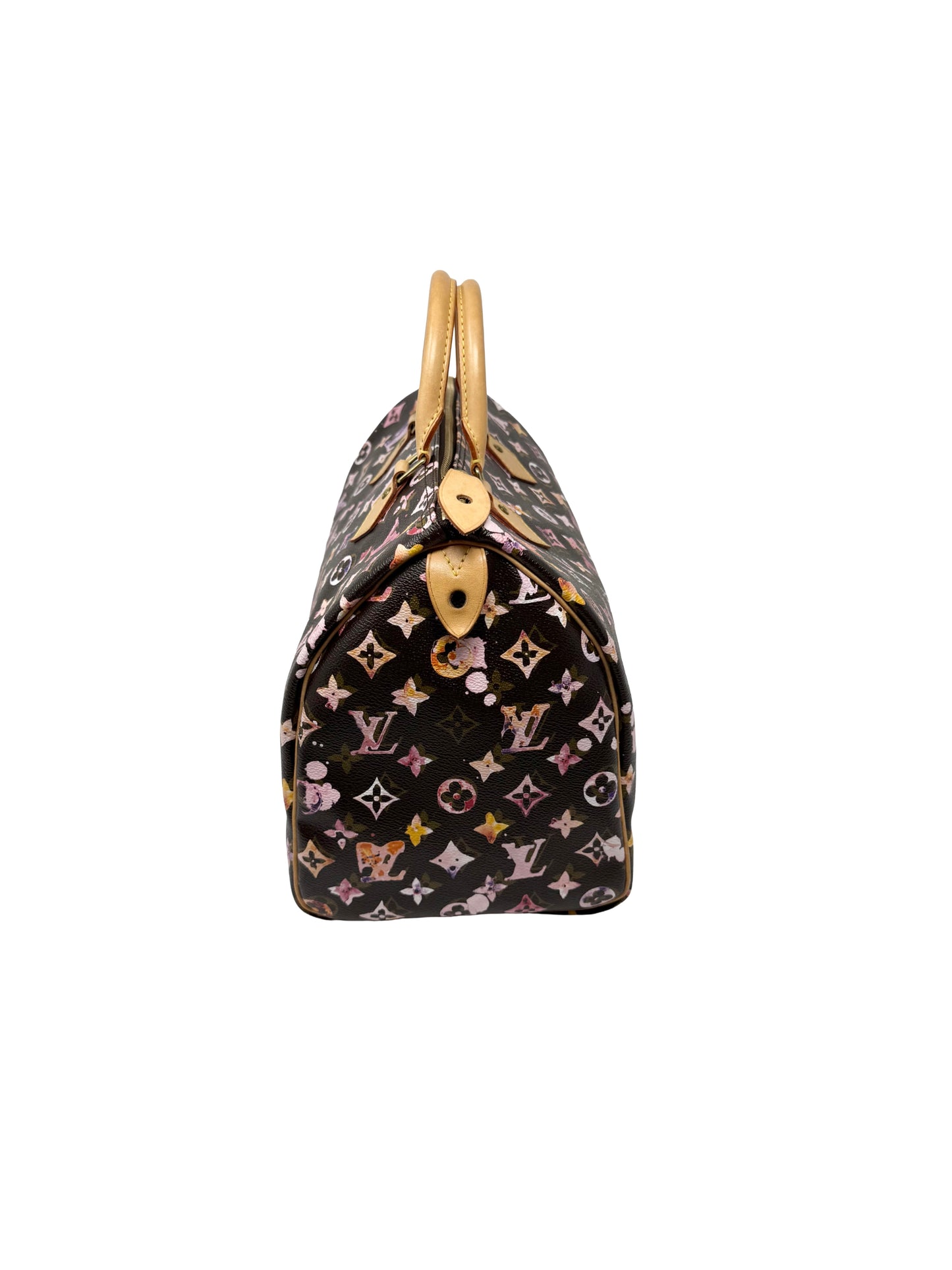 Louis Vuitton Richard Prince Watercolor Aquarelle Speedy 35 Brown